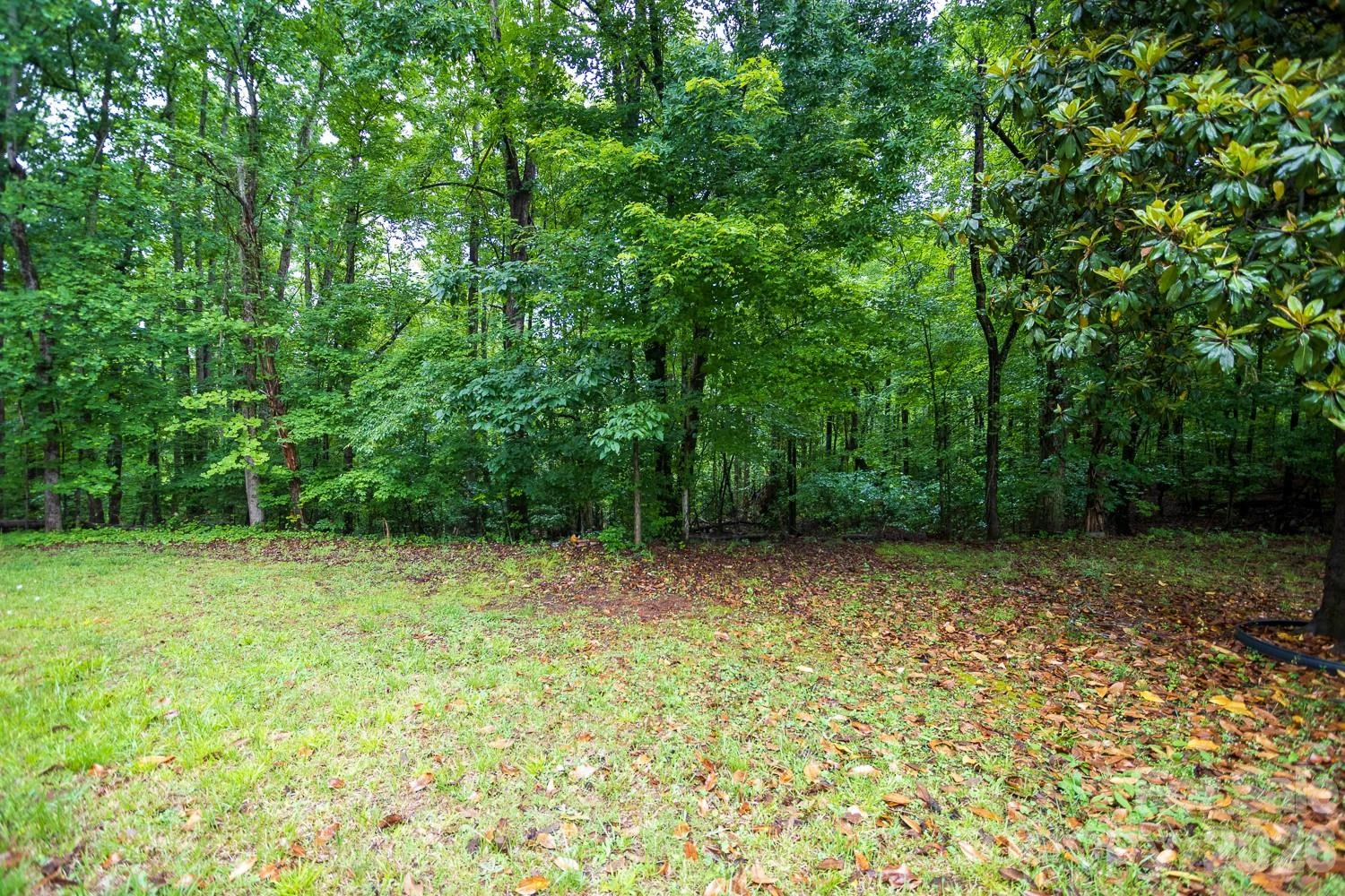 1225 Moss Road - Photo 7