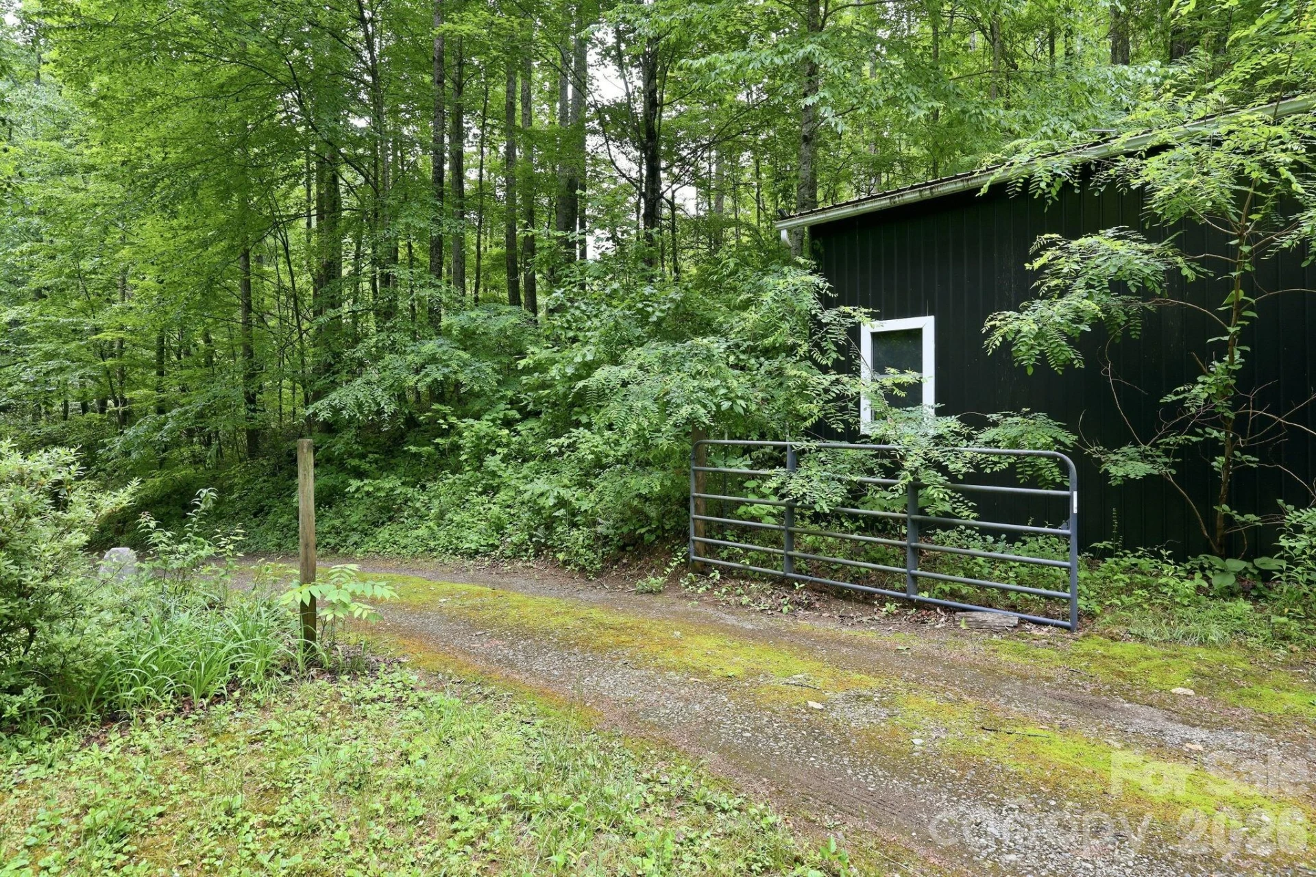 182 Saw Branch Road - Photo 31