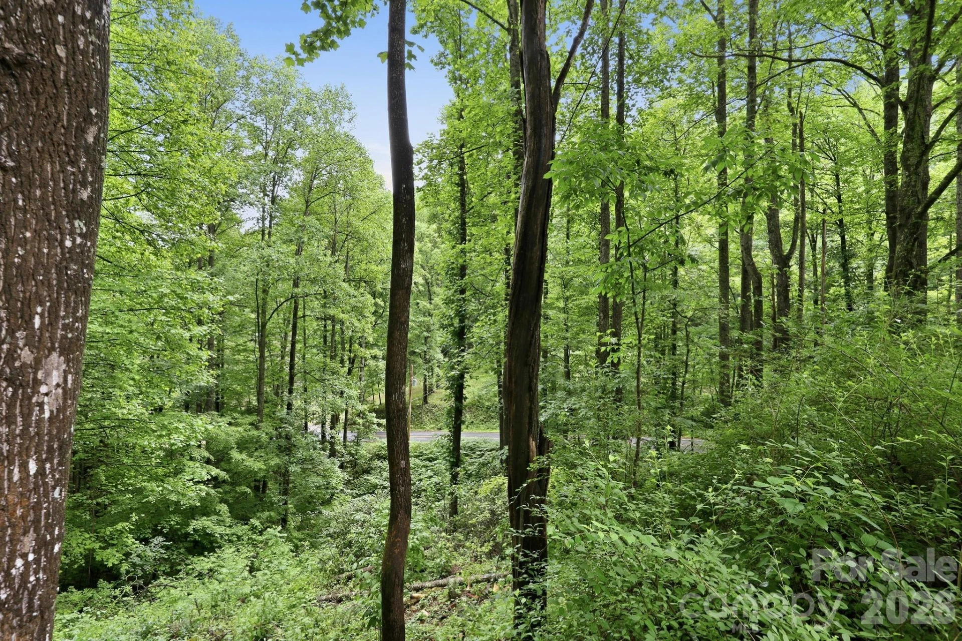182 Saw Branch Road - Photo 34