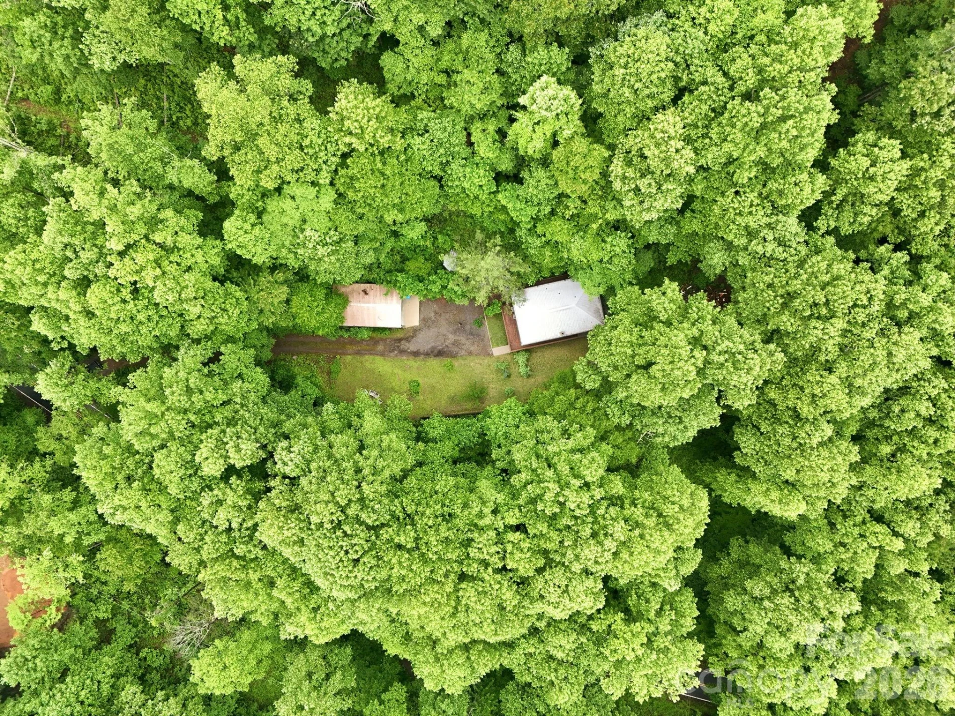 182 Saw Branch Road - Photo 36