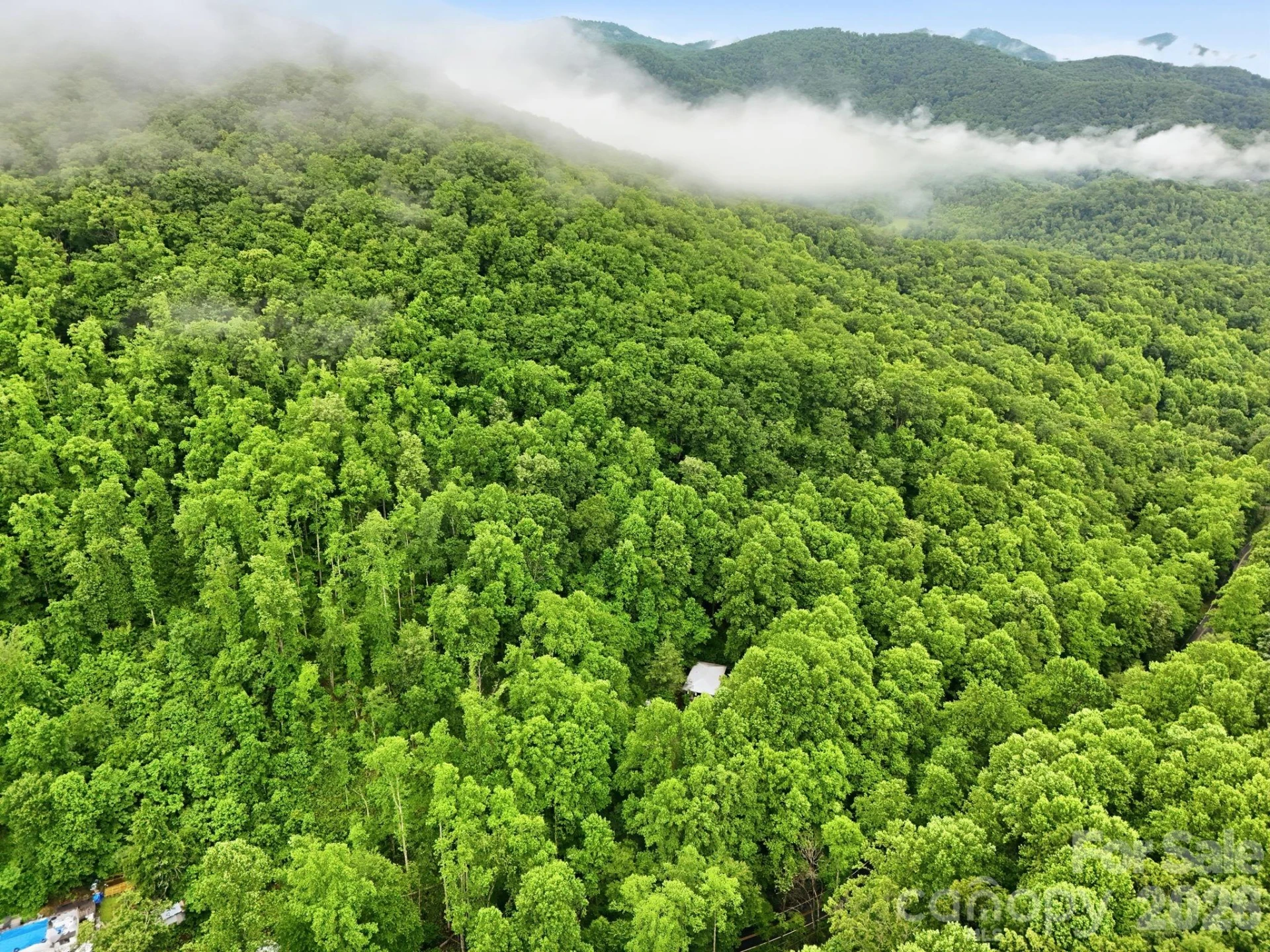 182 Saw Branch Road - Photo 37