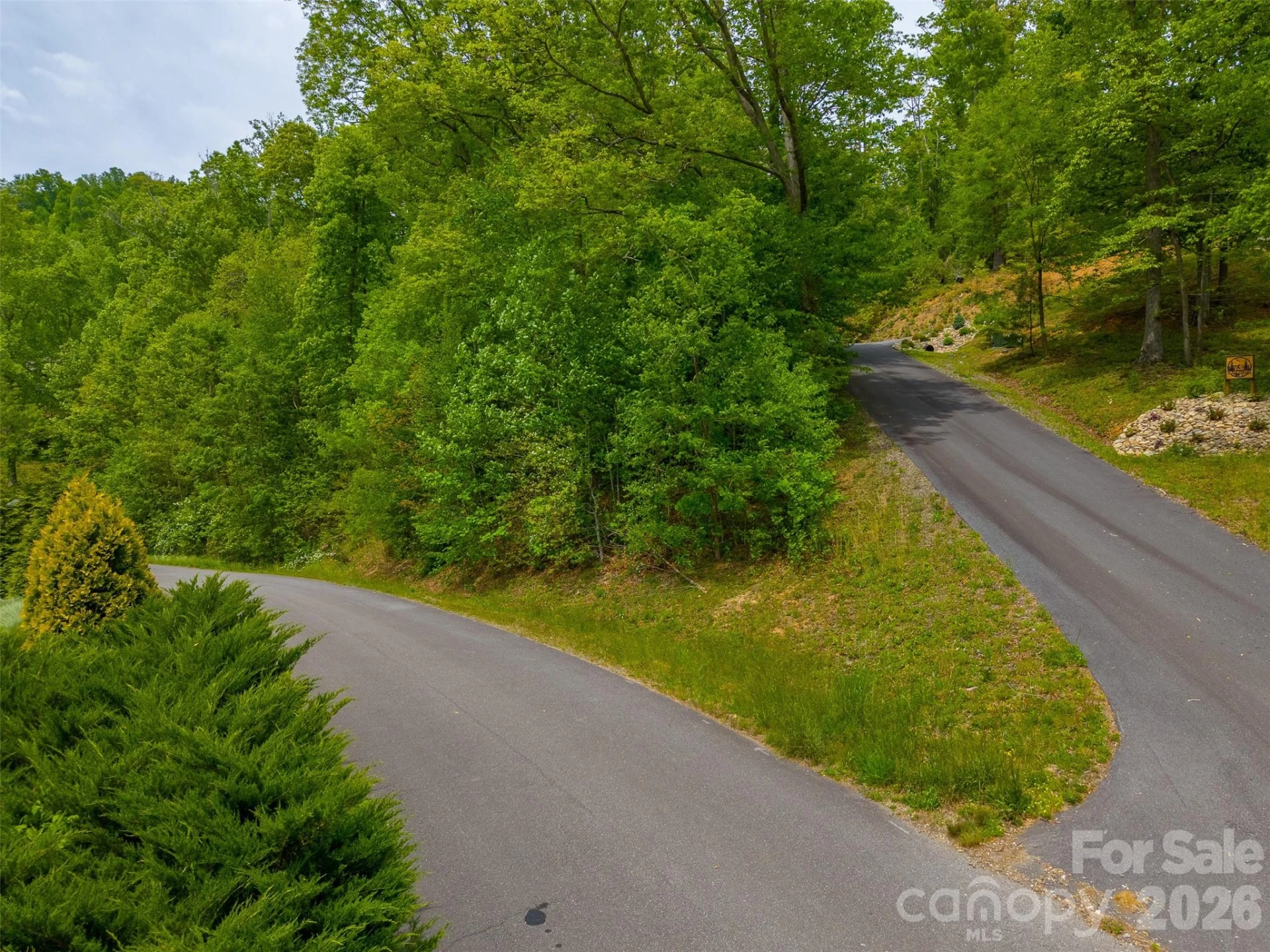 LT 27 Peak View Lane - Photo 11