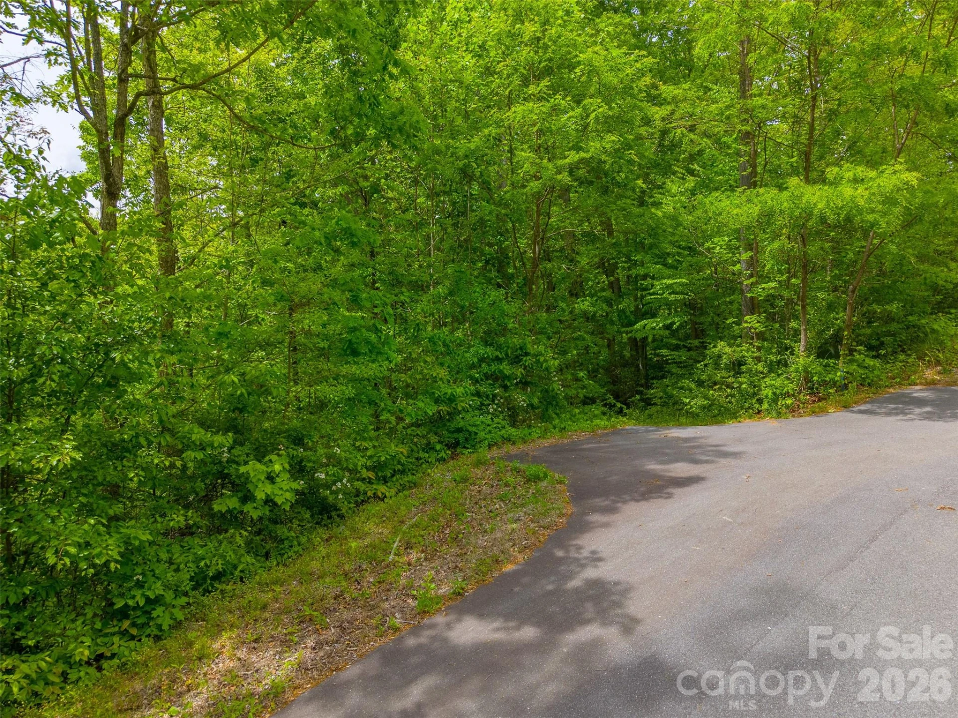 LT 27 Peak View Lane - Photo 13