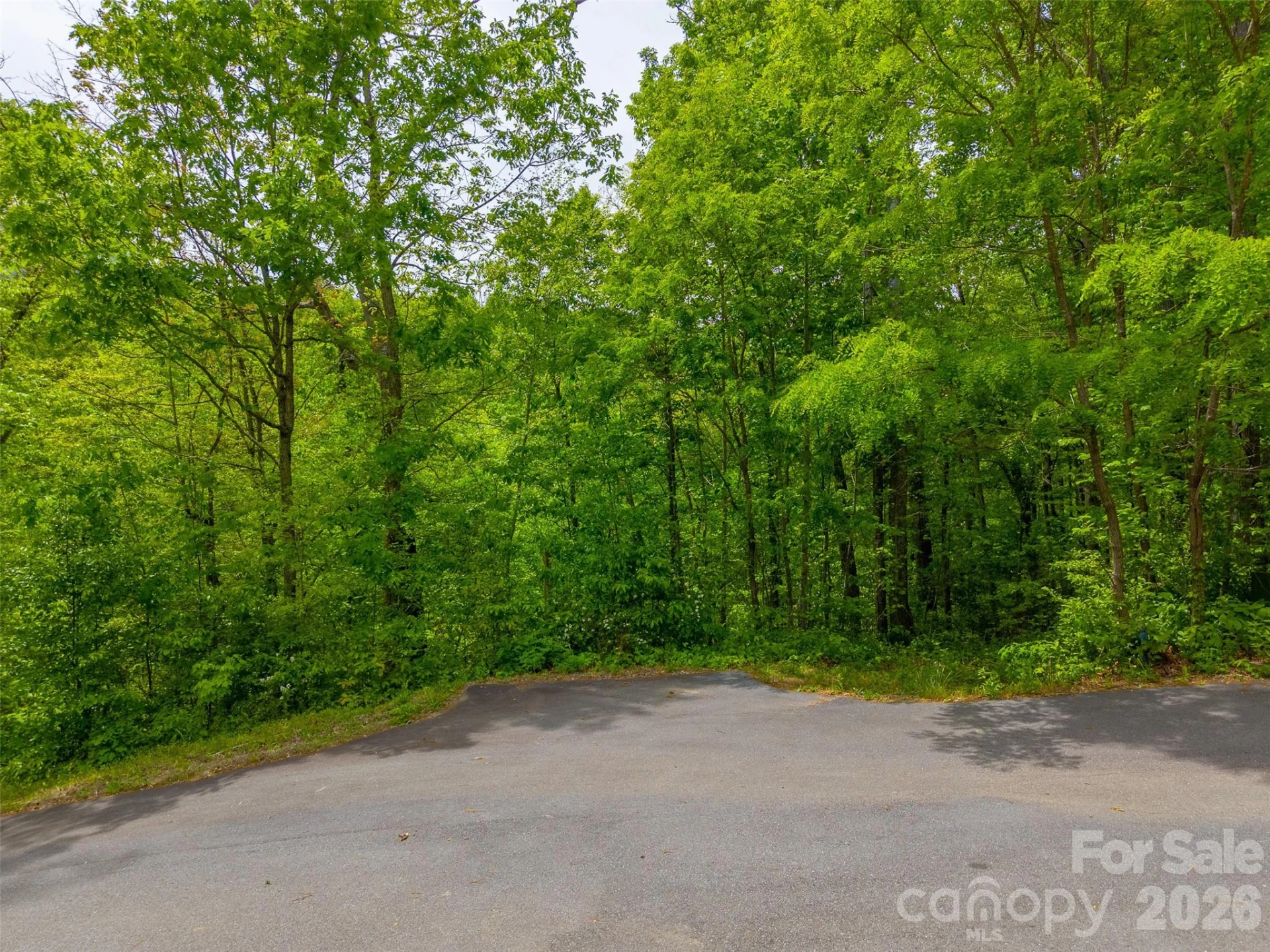 LT 27 Peak View Lane - Photo 14