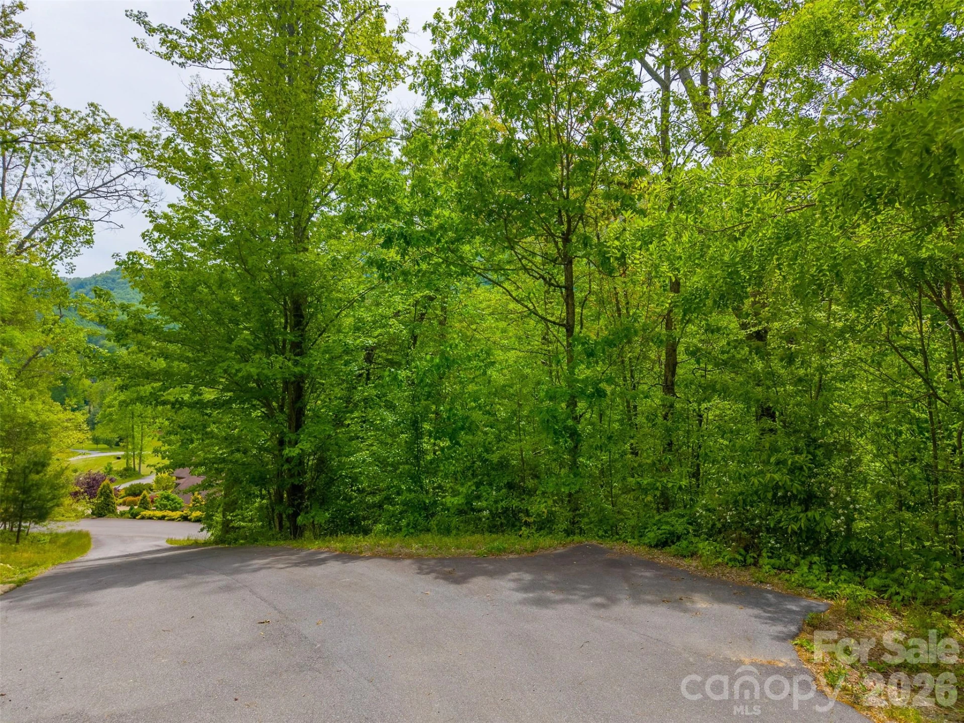 LT 27 Peak View Lane - Photo 15