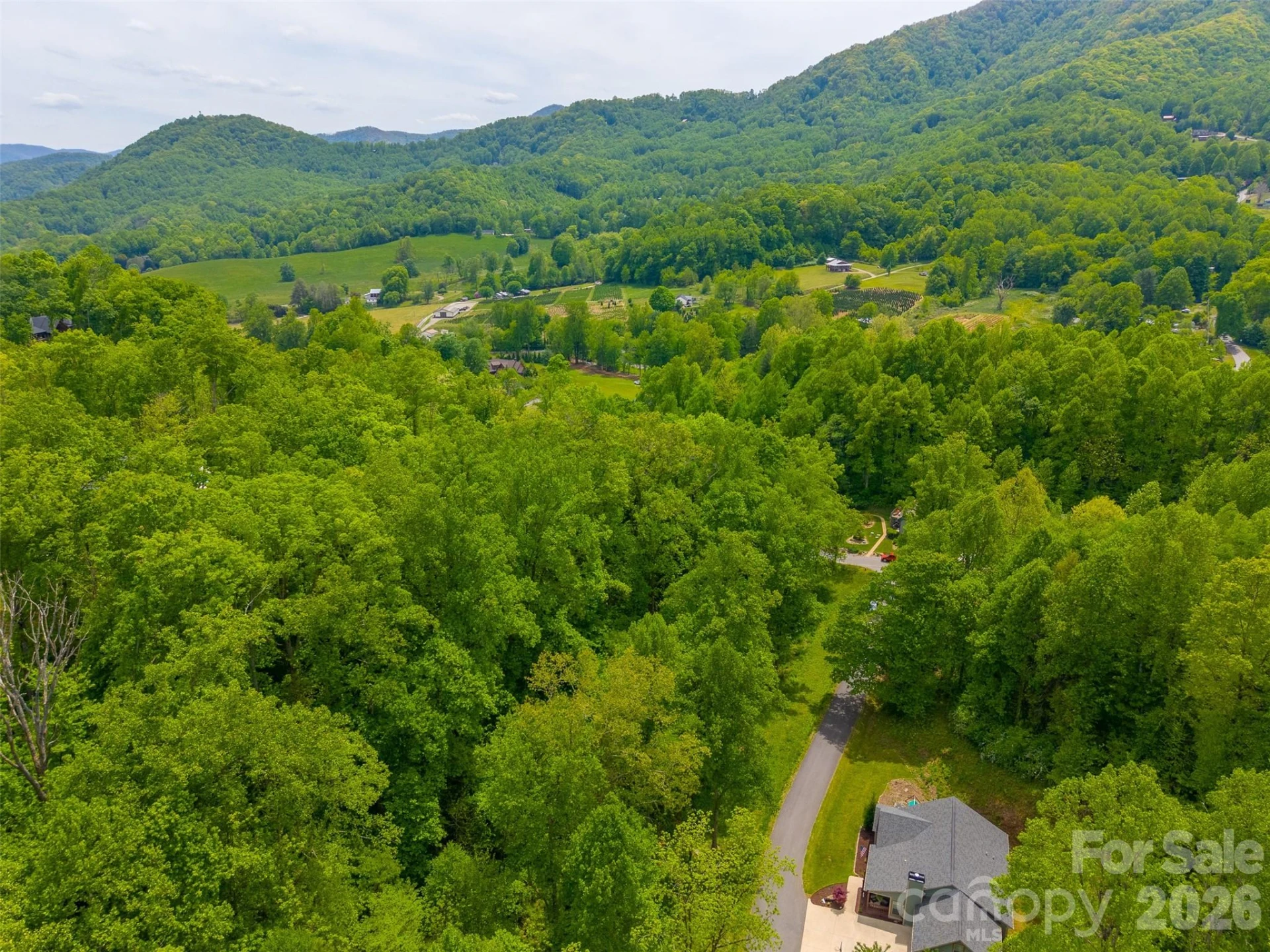 LT 27 Peak View Lane - Photo 18