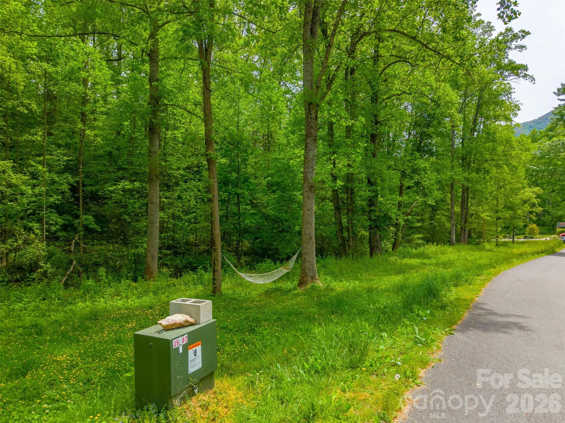 LT 27 Peak View Lane - Photo 4