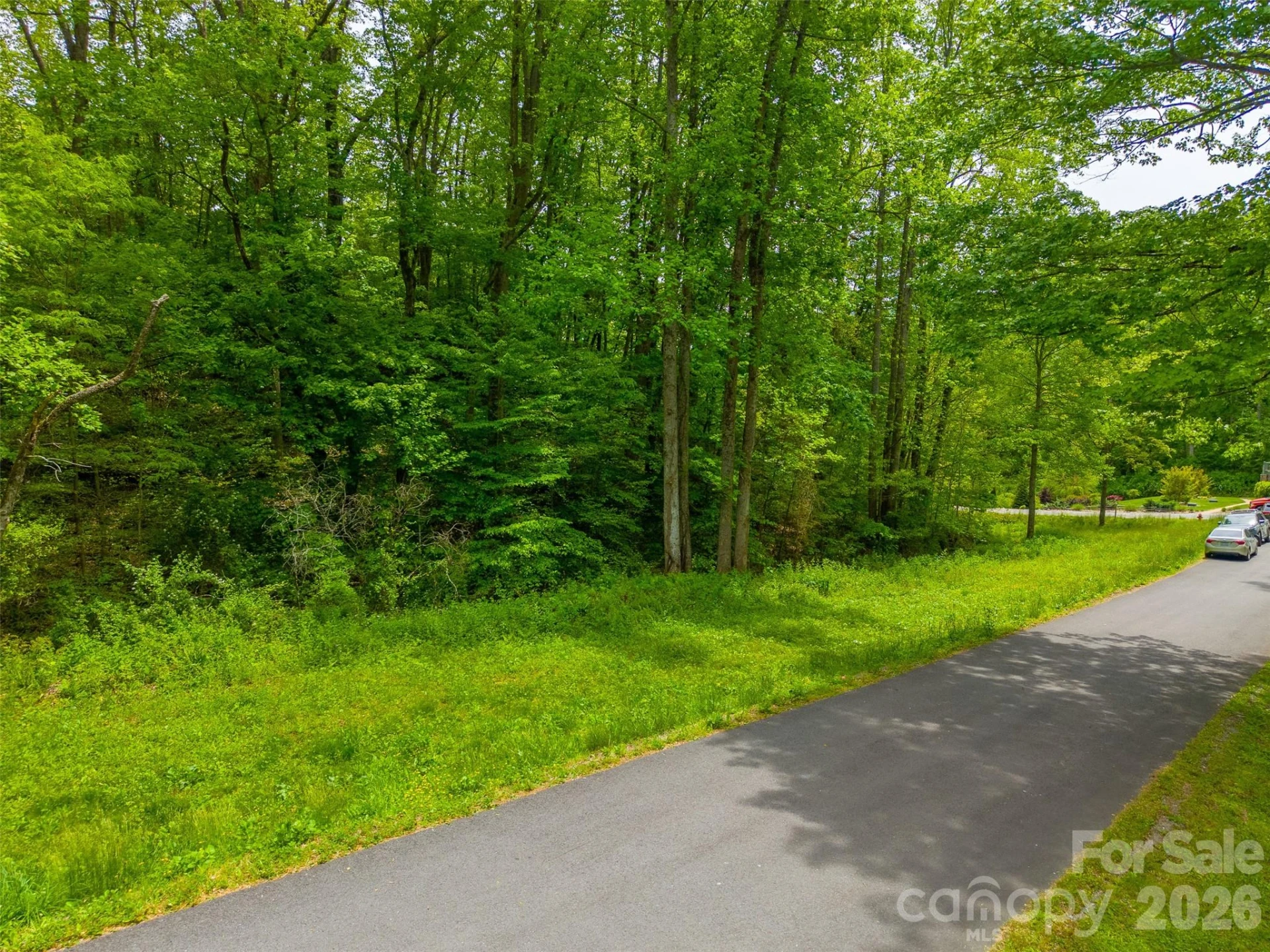 LT 27 Peak View Lane - Photo 6
