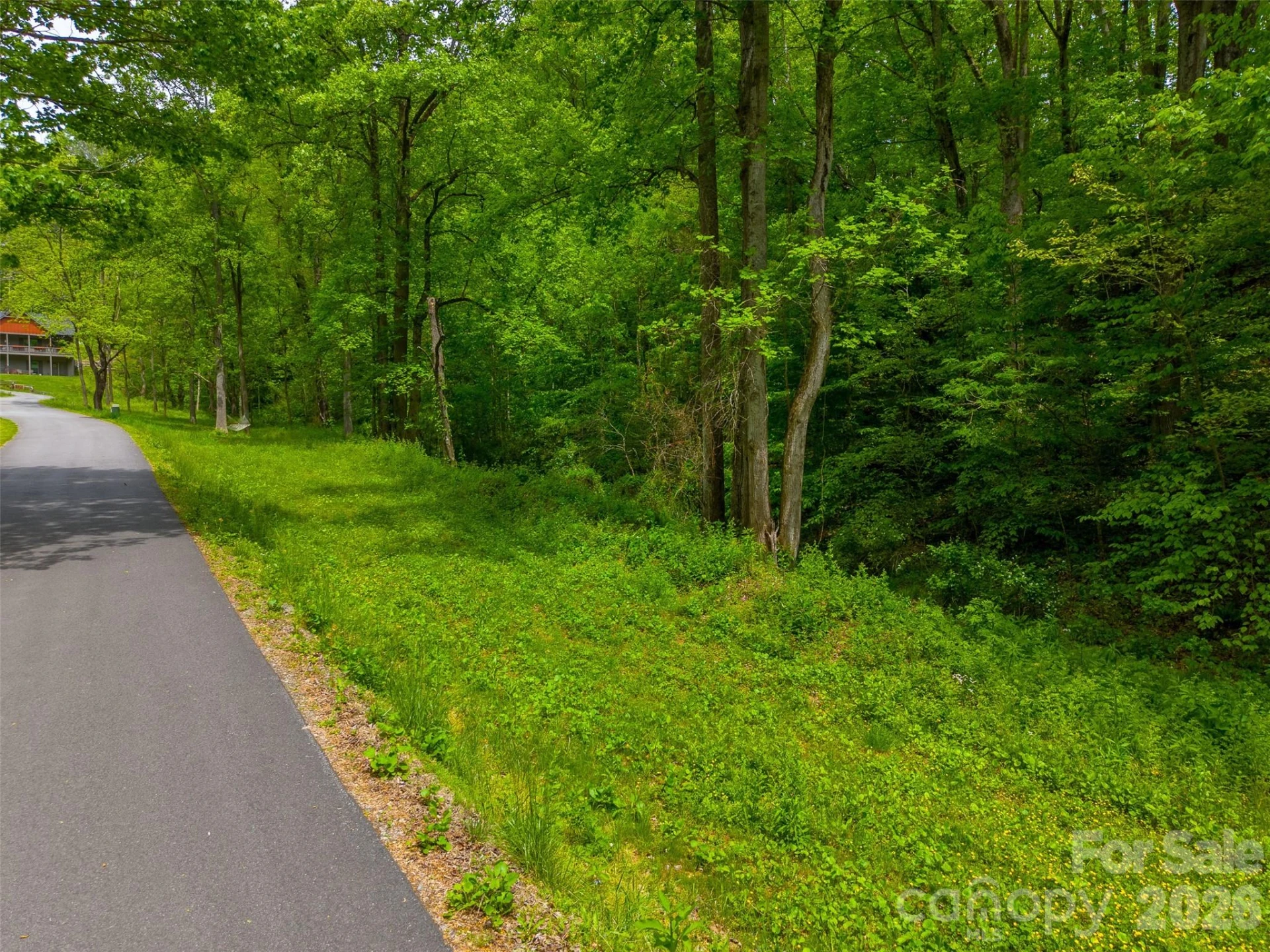 LT 27 Peak View Lane - Photo 8