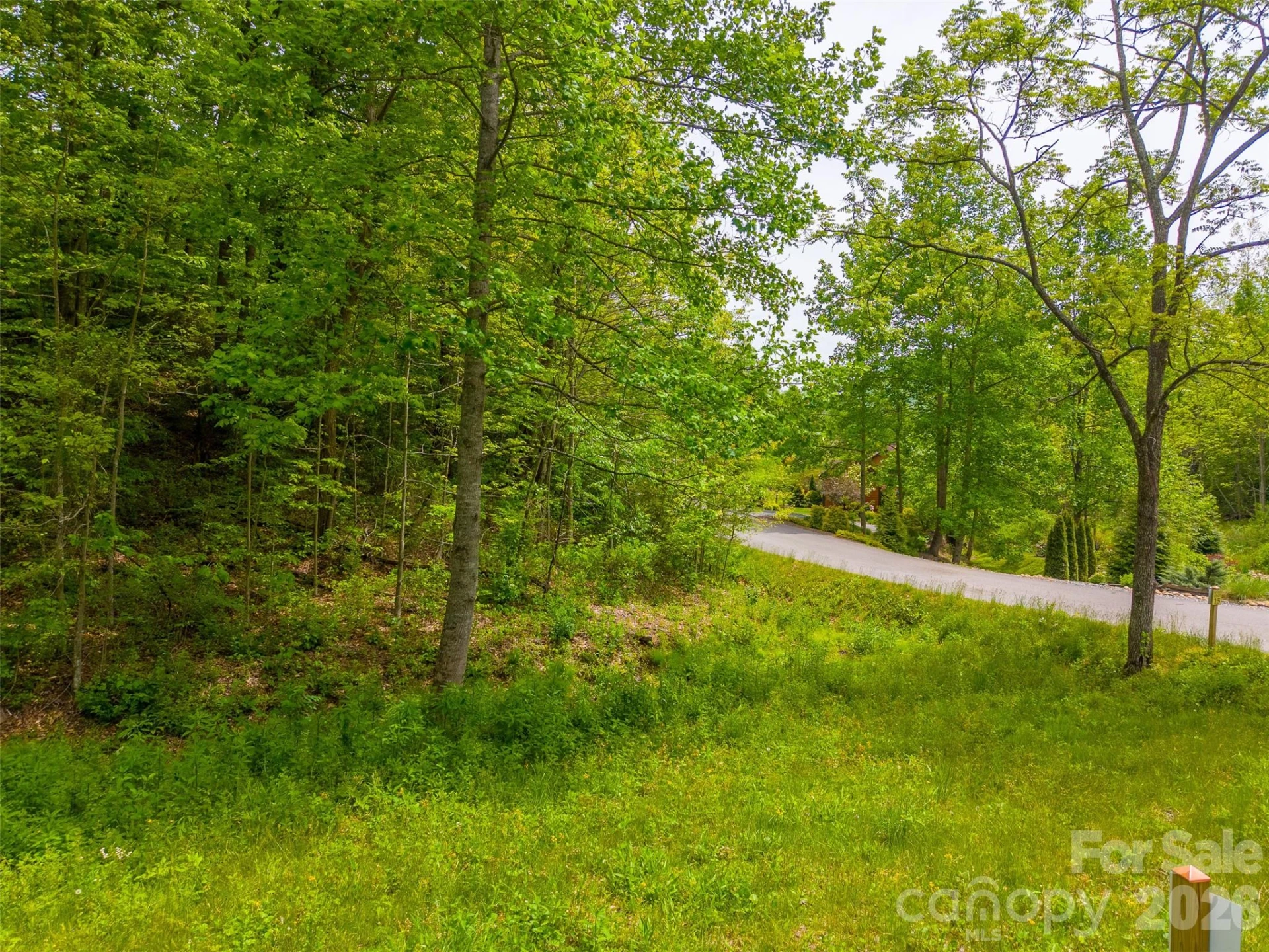 LT 27 Peak View Lane - Photo 9