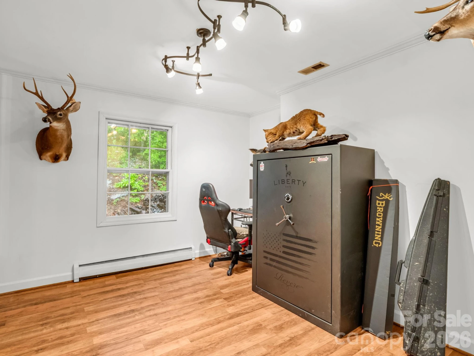 679 Solomon Jones Road - Photo 11