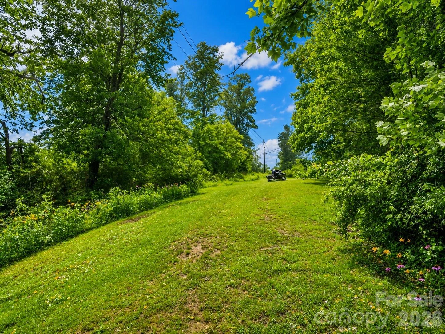 679 Solomon Jones Road - Photo 32