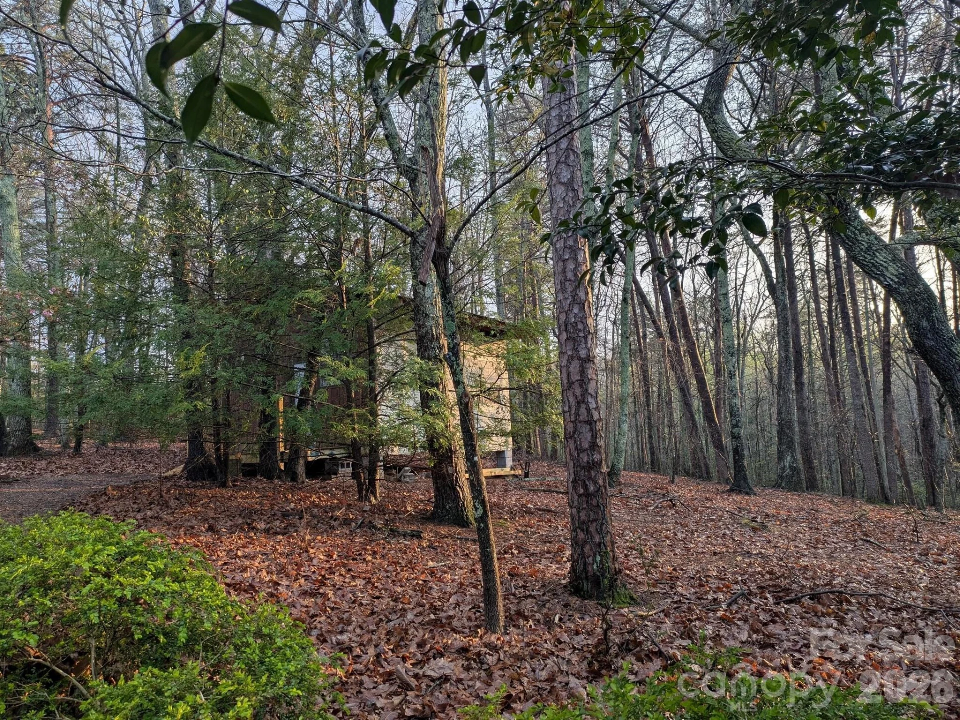 675 Fox Run Lane - Photo 32