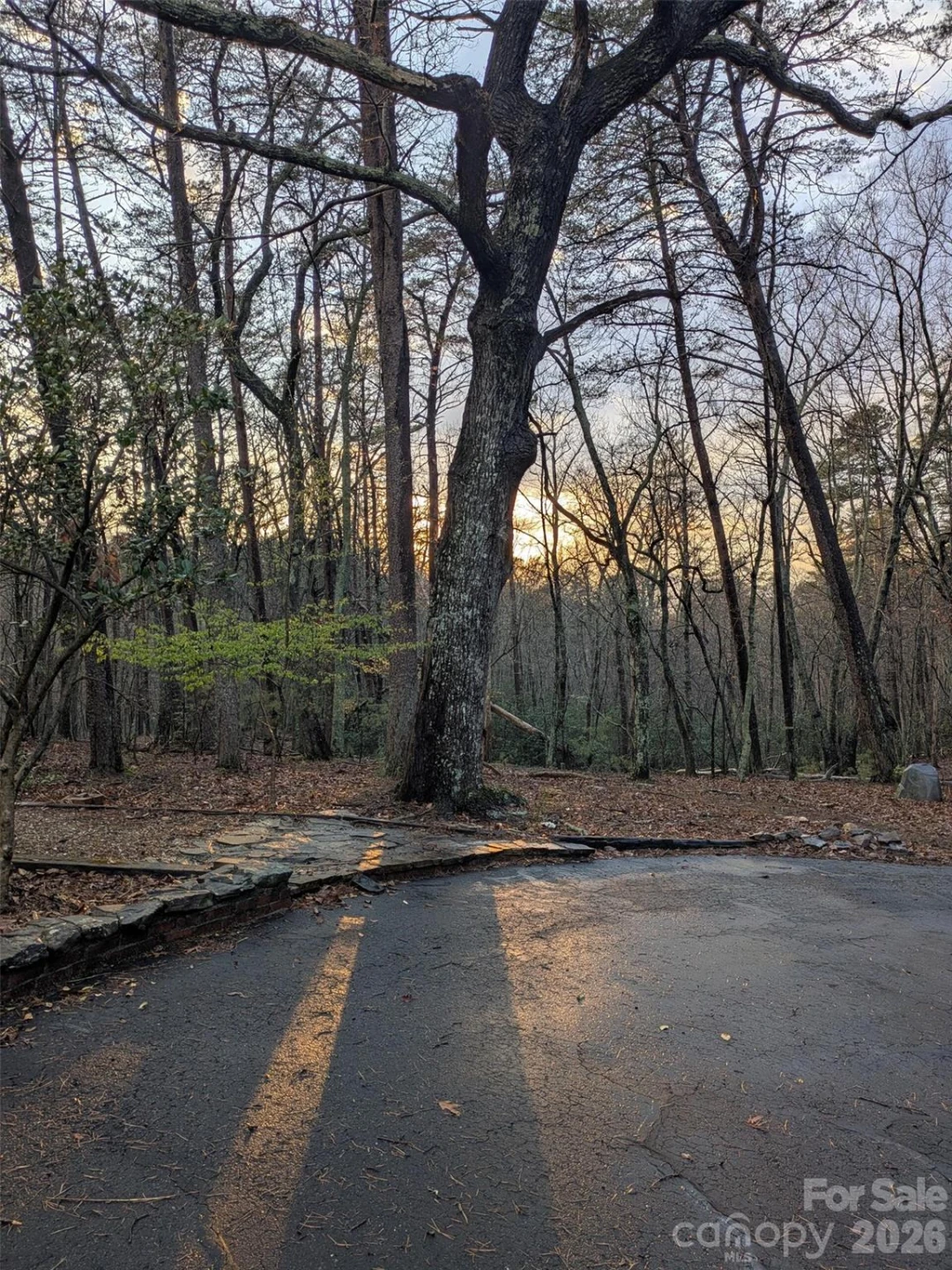 675 Fox Run Lane - Photo 33