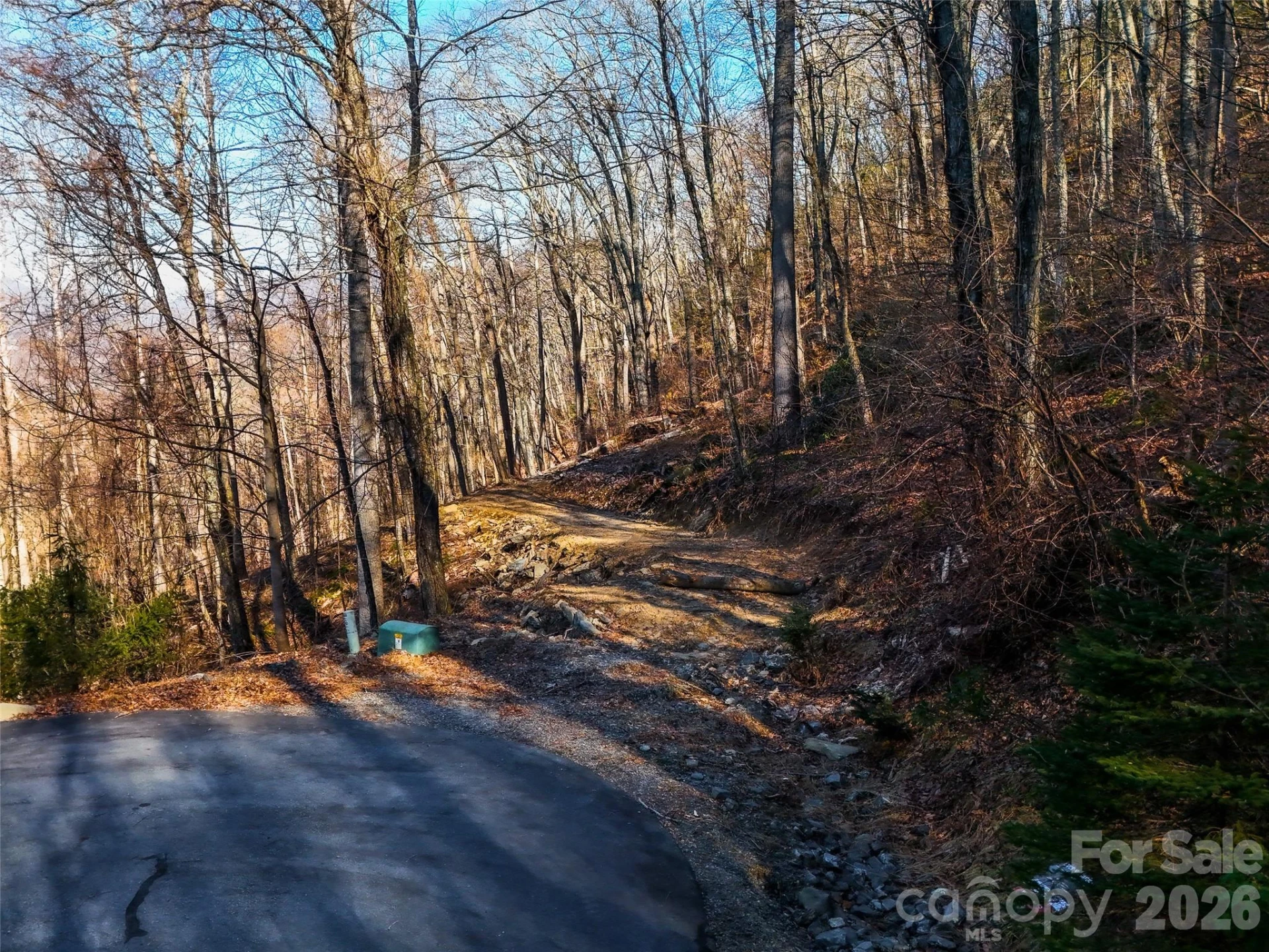 58 & 64 Flora Rose Trail #6A & 6B - Photo 13