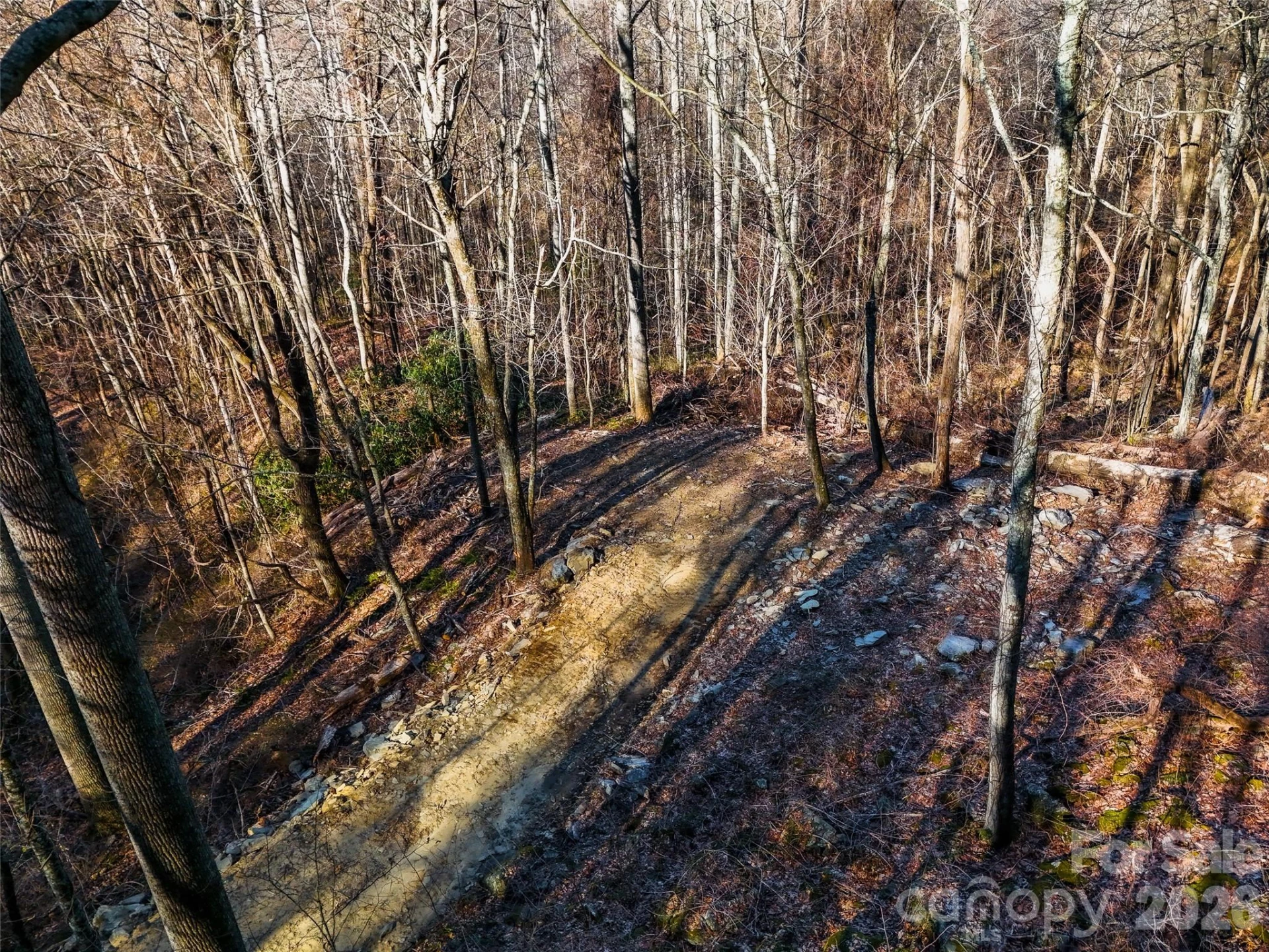 58 & 64 Flora Rose Trail #6A & 6B - Photo 16