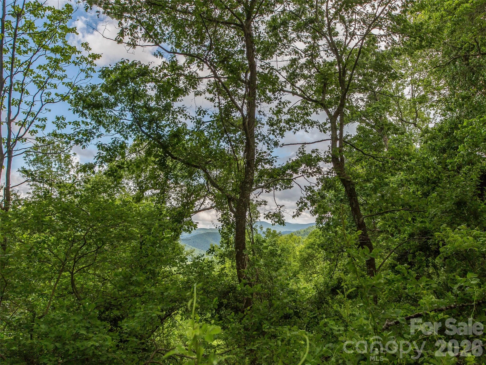 58 & 64 Flora Rose Trail #6A & 6B - Photo 29