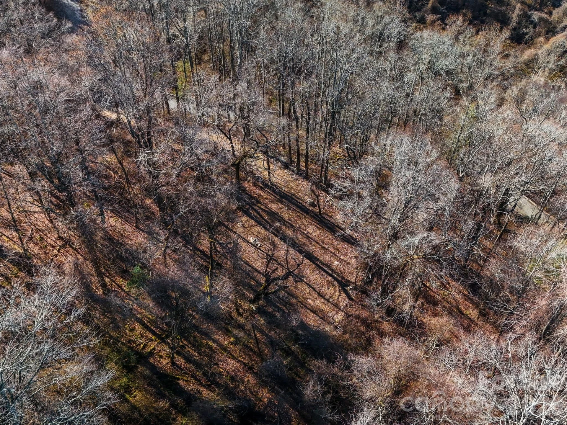 58 & 64 Flora Rose Trail #6A & 6B - Photo 5