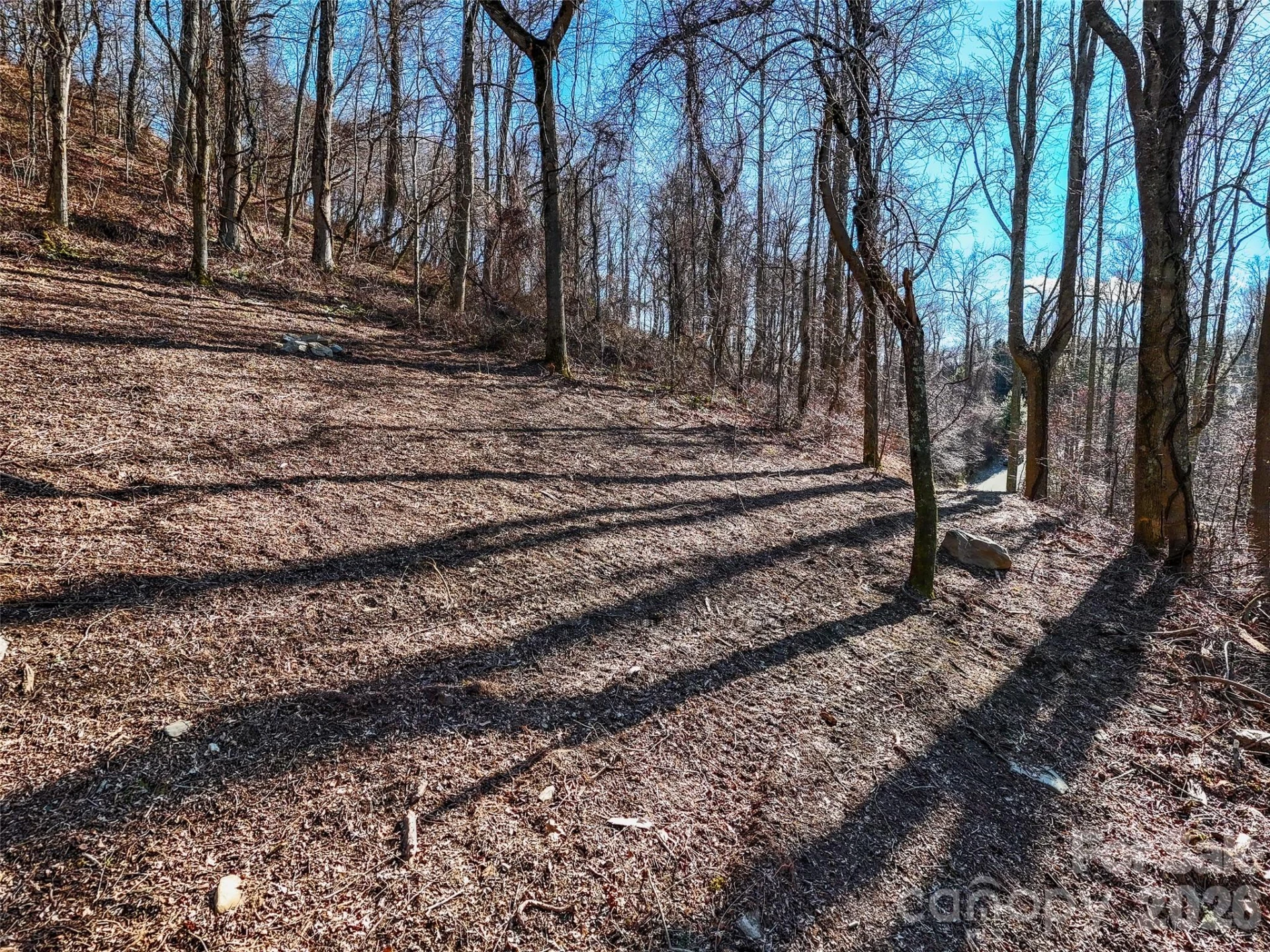 58 & 64 Flora Rose Trail #6A & 6B - Photo 8