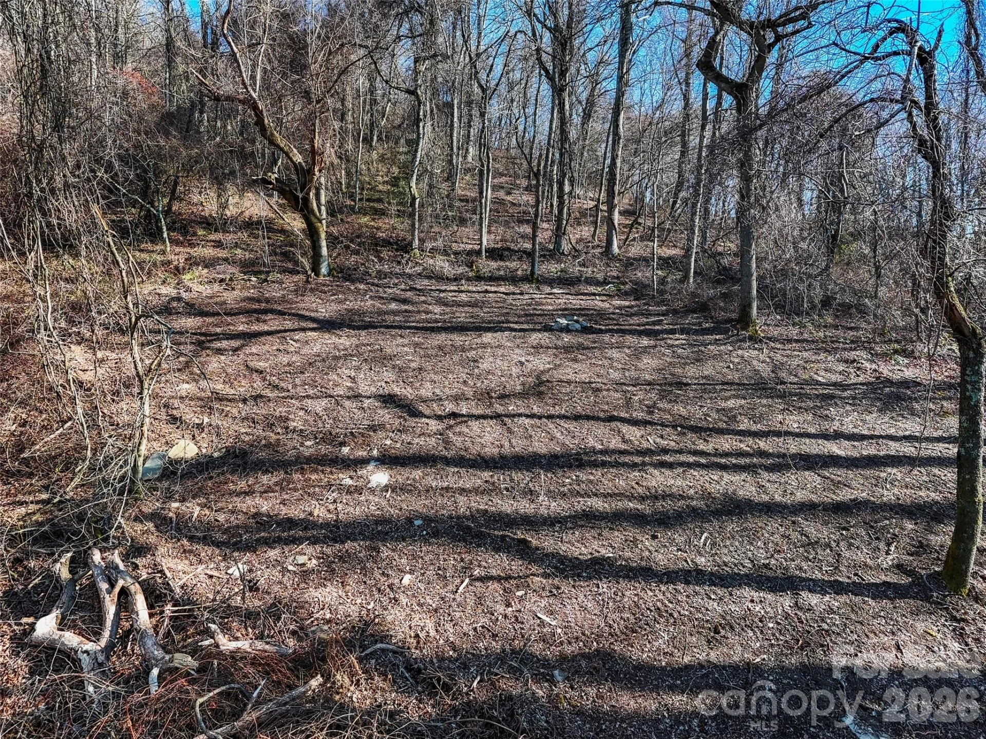 58 & 64 Flora Rose Trail #6A & 6B - Photo 9