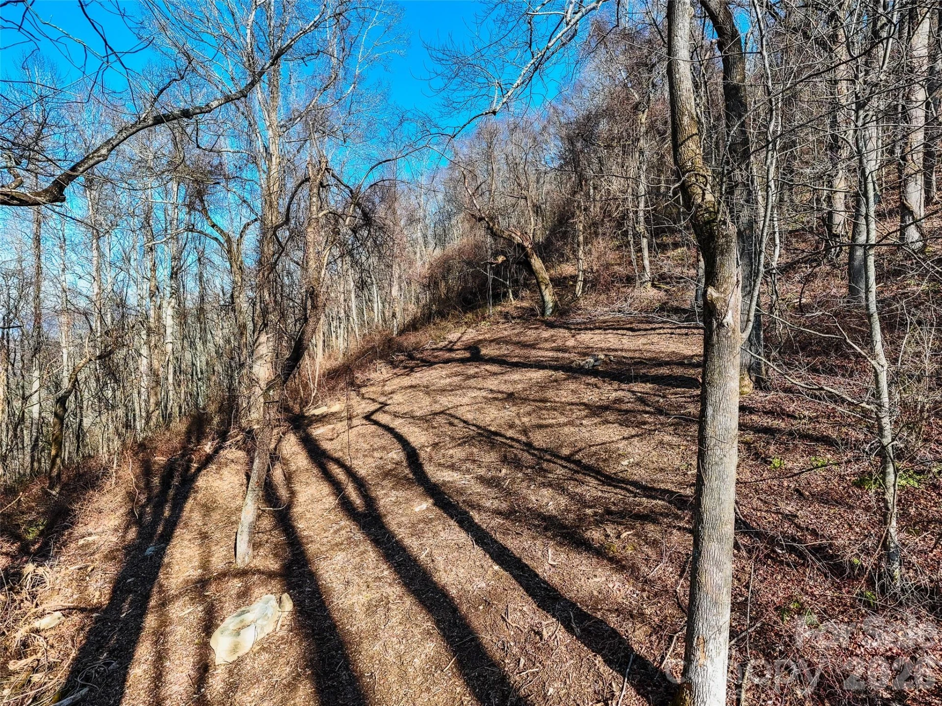 58 & 64 Flora Rose Trail #6A & 6B - Photo 10