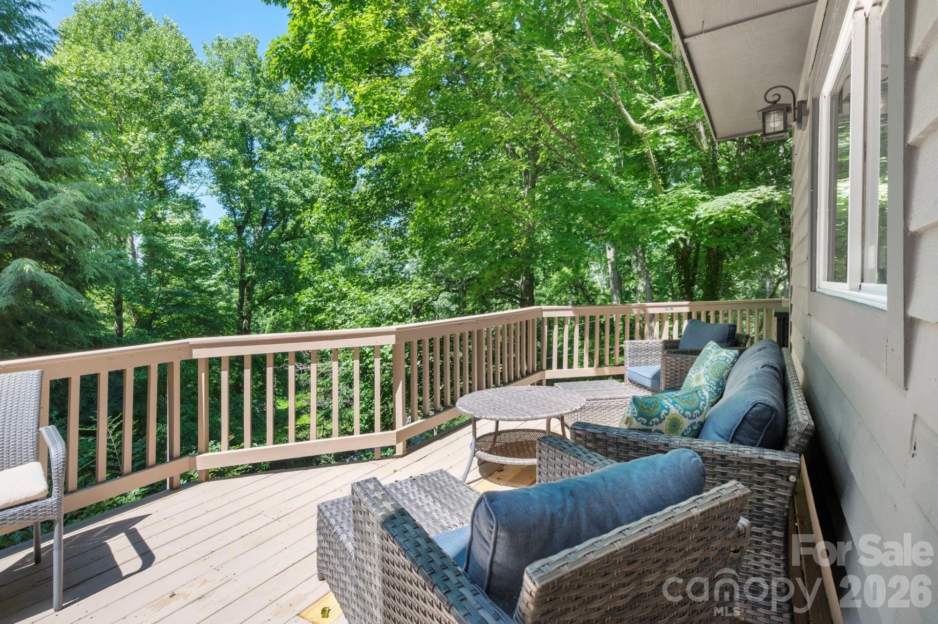450 Elk Mountain Scenic Highway - Photo 12