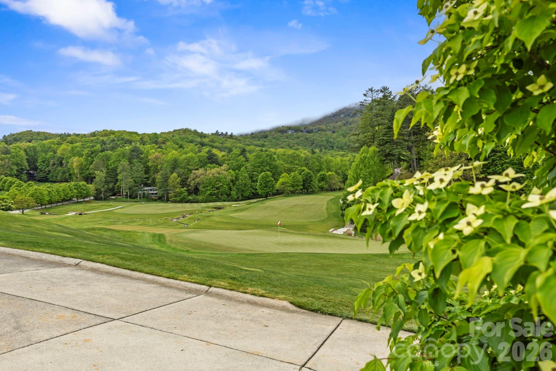 TBD Hickory Shaft Drive - Photo 12