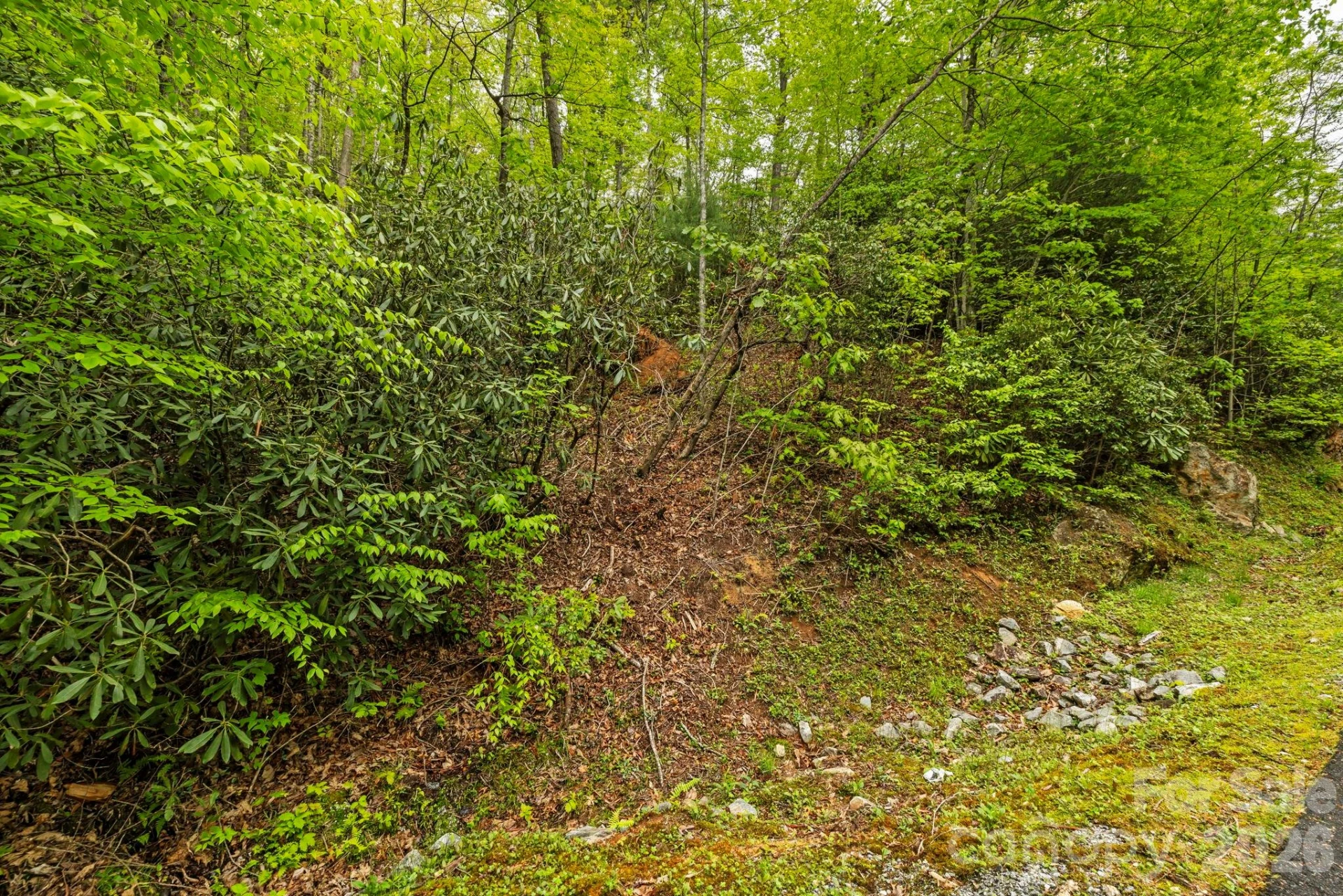 TBD Hickory Shaft Drive - Photo 9