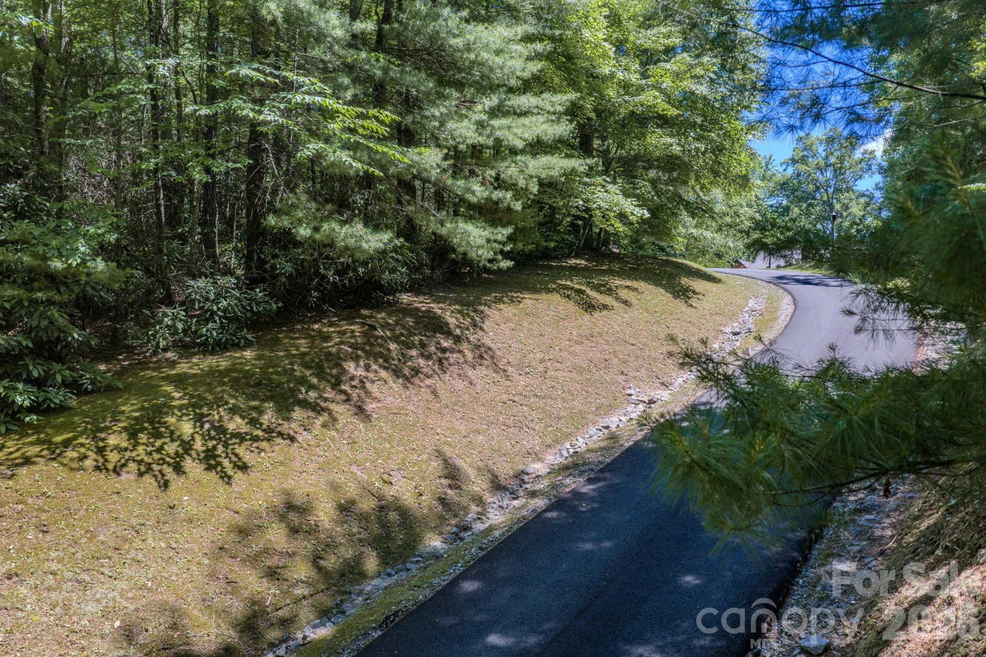 0 Woodlyn Etch Drive #1 - Photo 4
