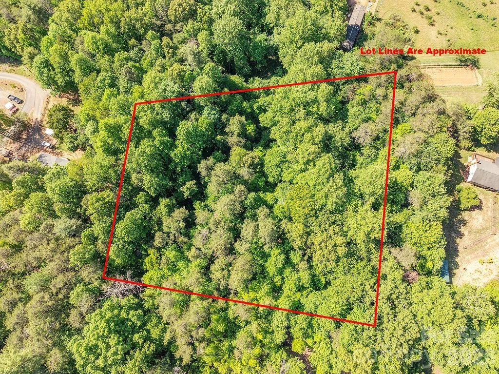 99999 Suddreth Lane - Photo 2