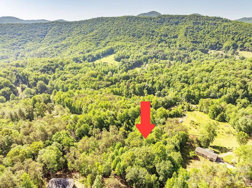 99999 Suddreth Lane - Photo 3