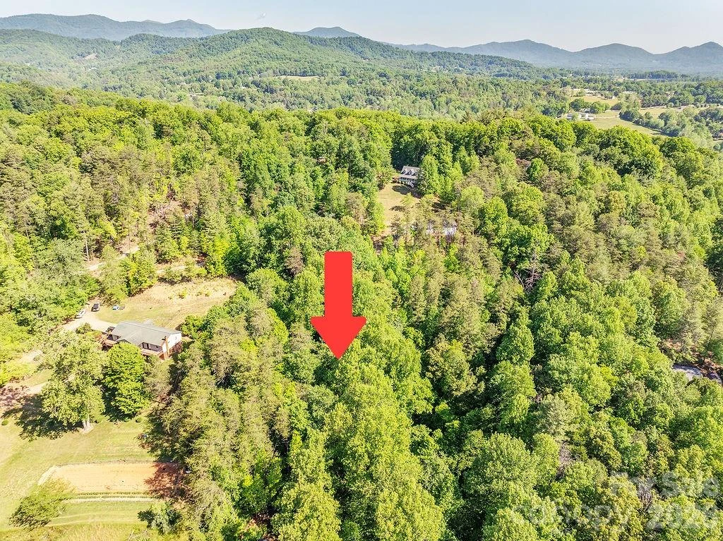 99999 Suddreth Lane - Photo 4
