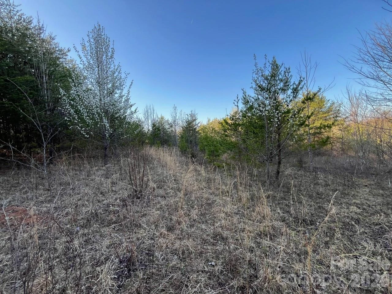 TBD Southern Way - Photo 2