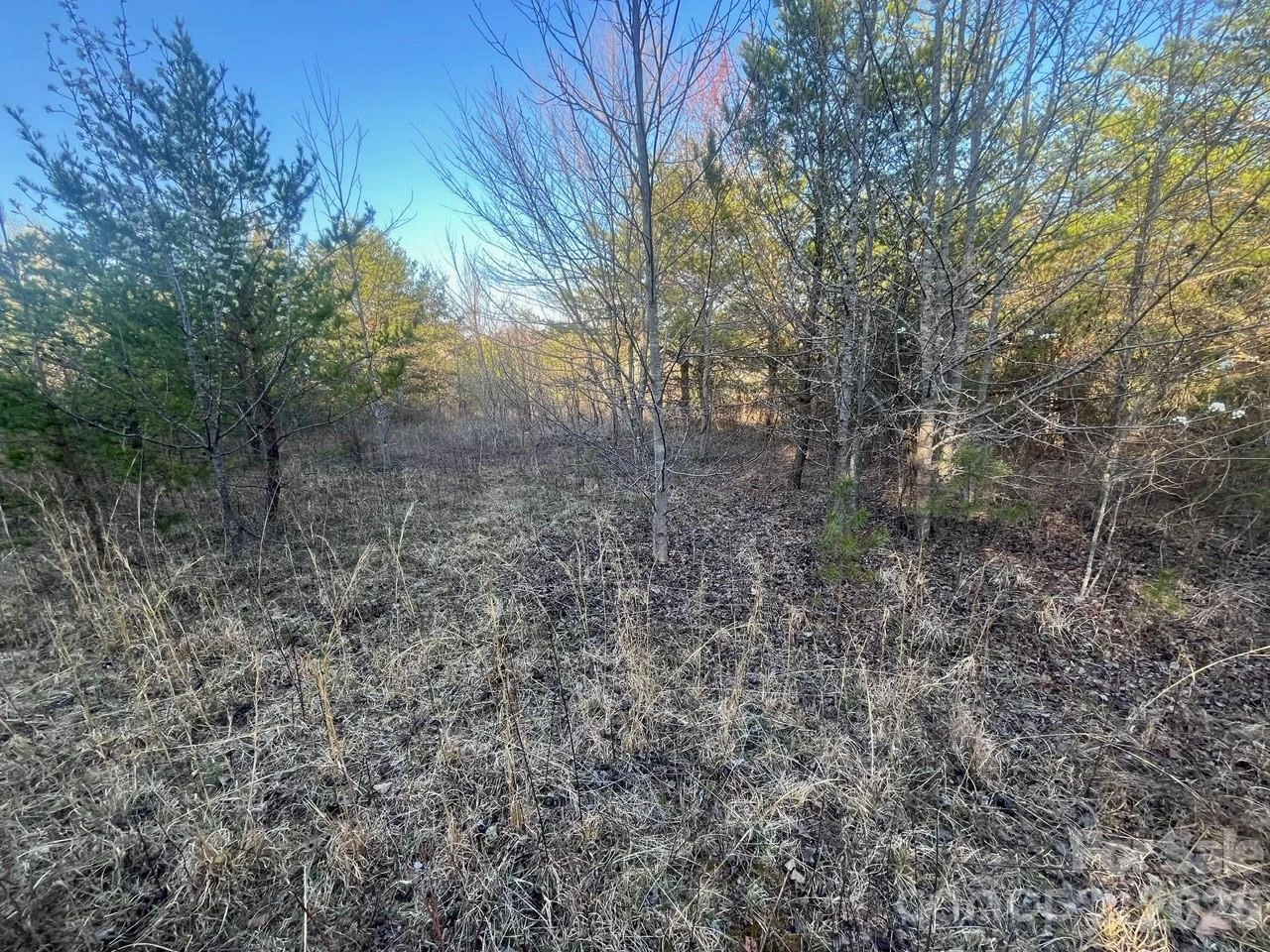 TBD Southern Way - Photo 11