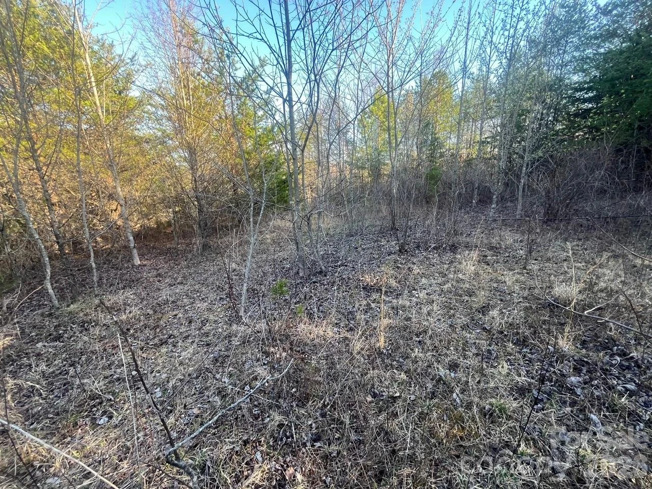 TBD Southern Way - Photo 12