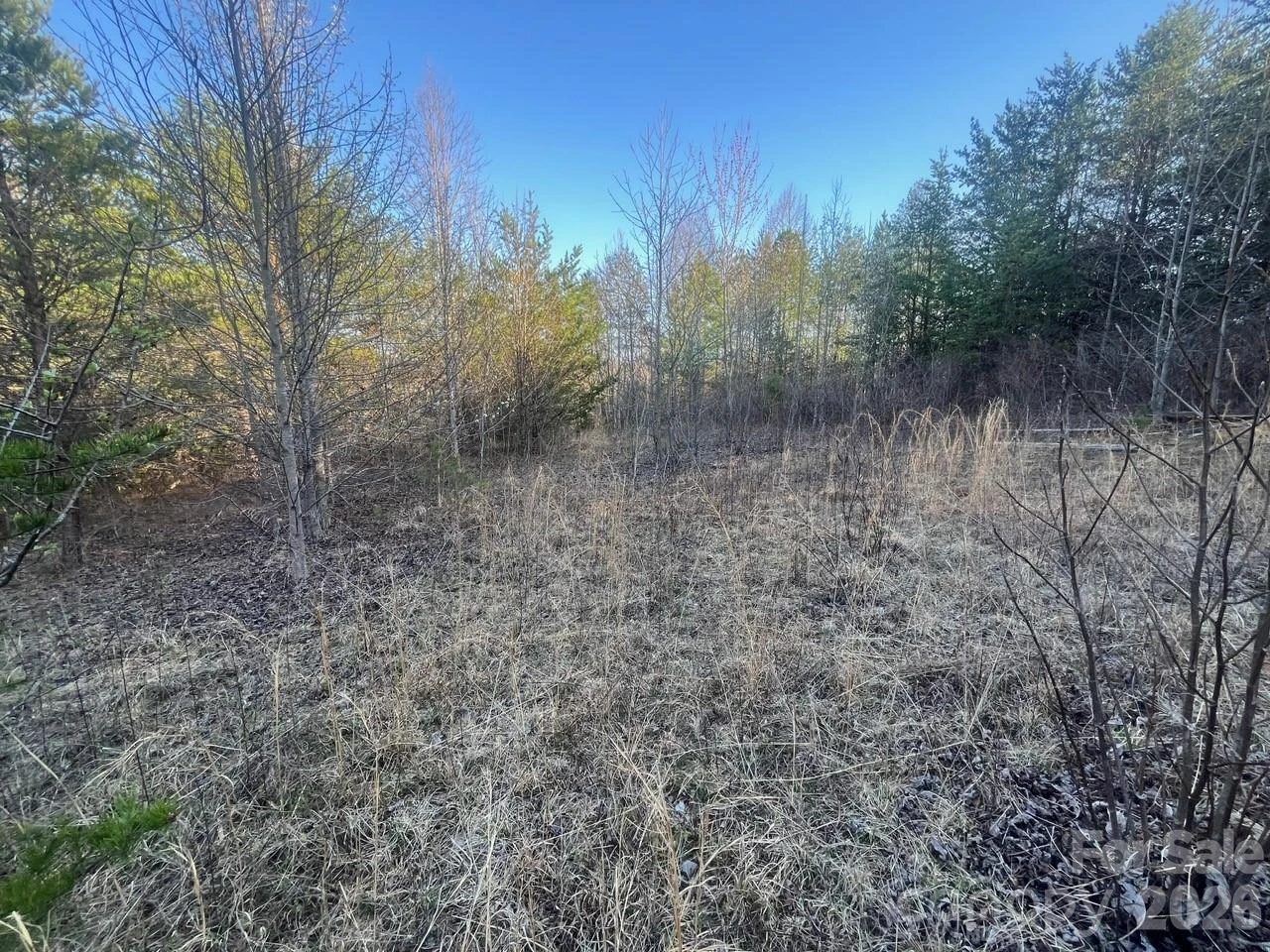 TBD Southern Way - Photo 13
