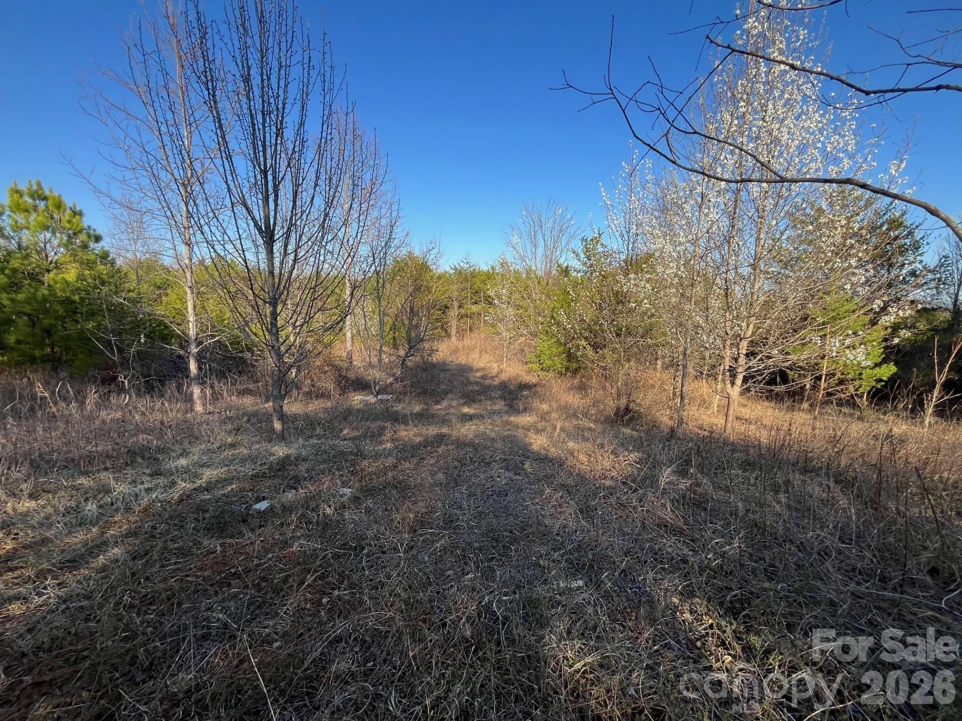 TBD Southern Way - Photo 19
