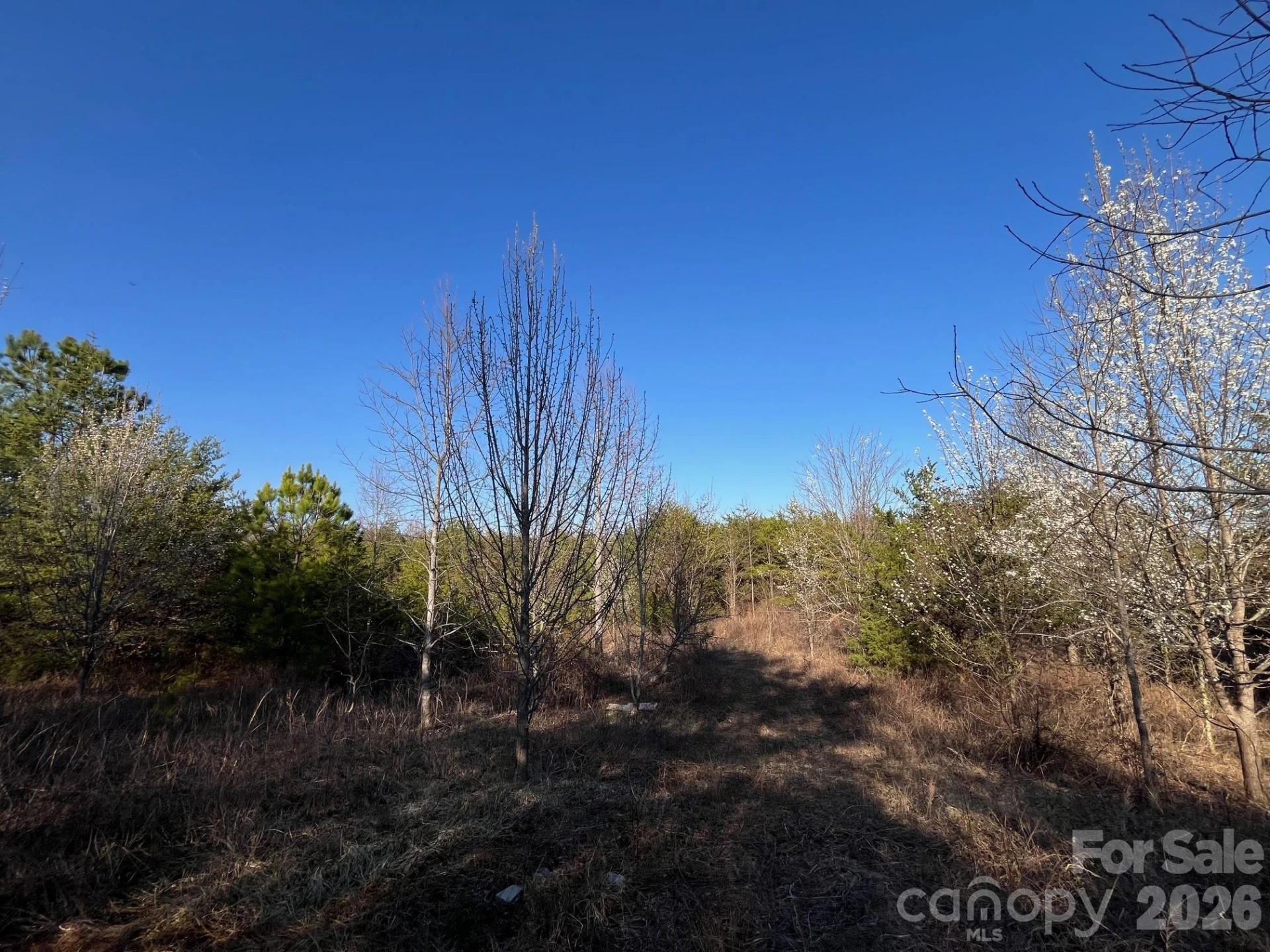 TBD Southern Way - Photo 20