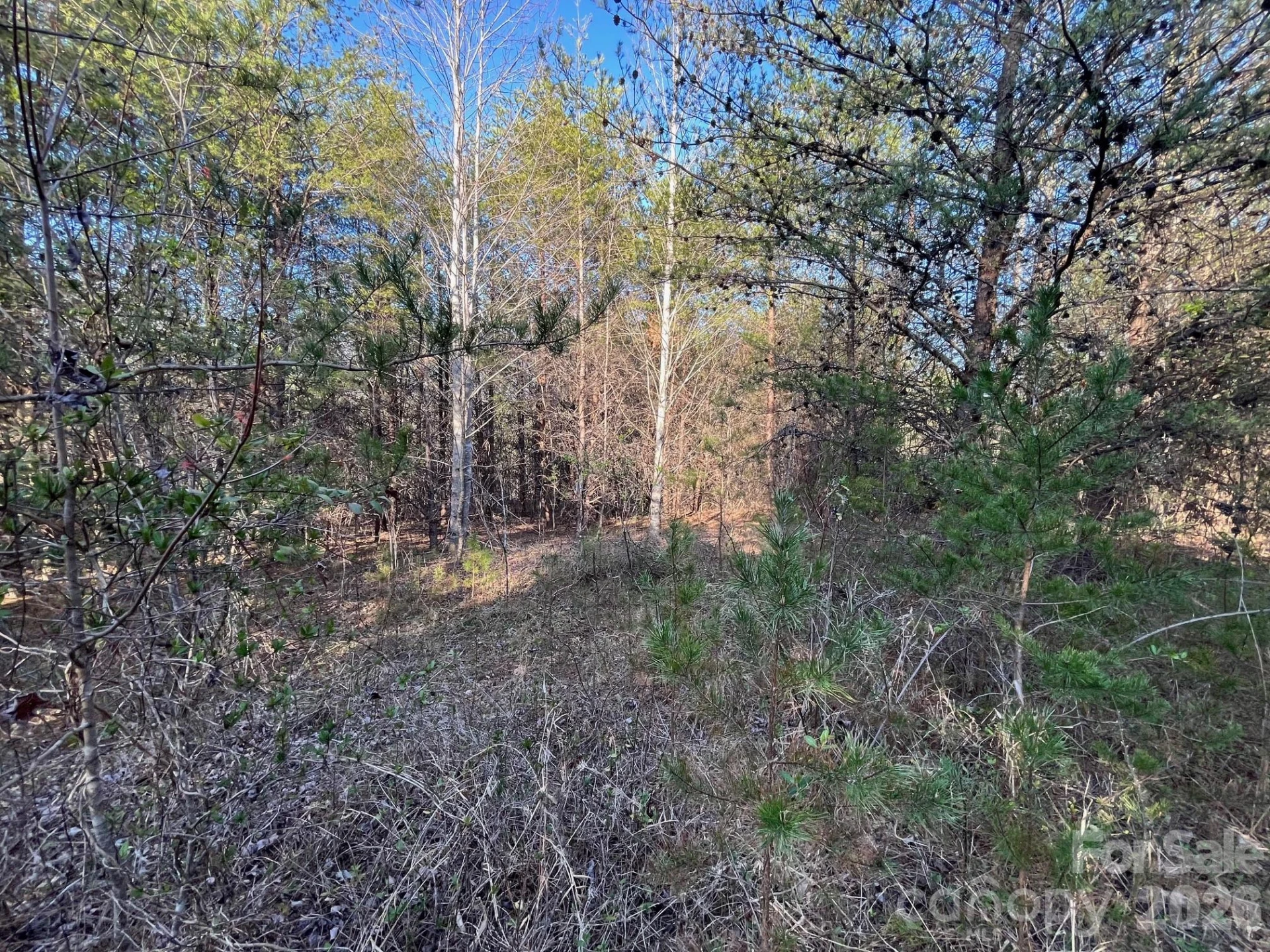 TBD Southern Way - Photo 3