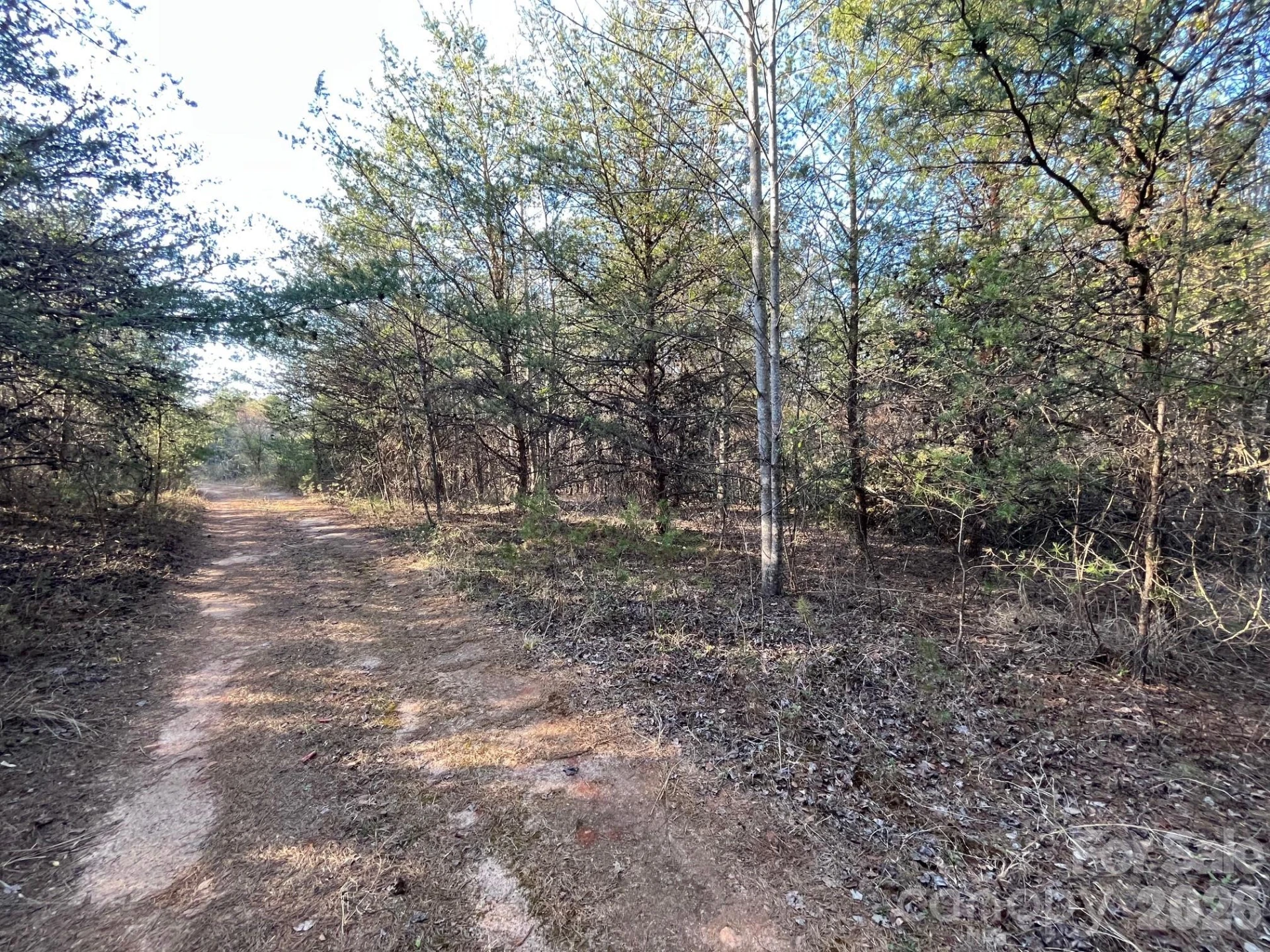 TBD Southern Way - Photo 22