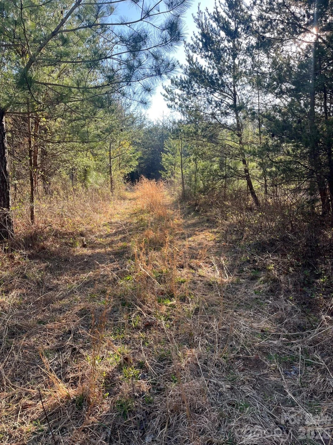 TBD Southern Way - Photo 4