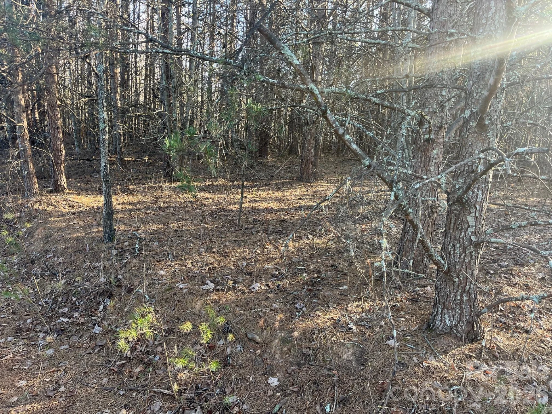 TBD Southern Way - Photo 5