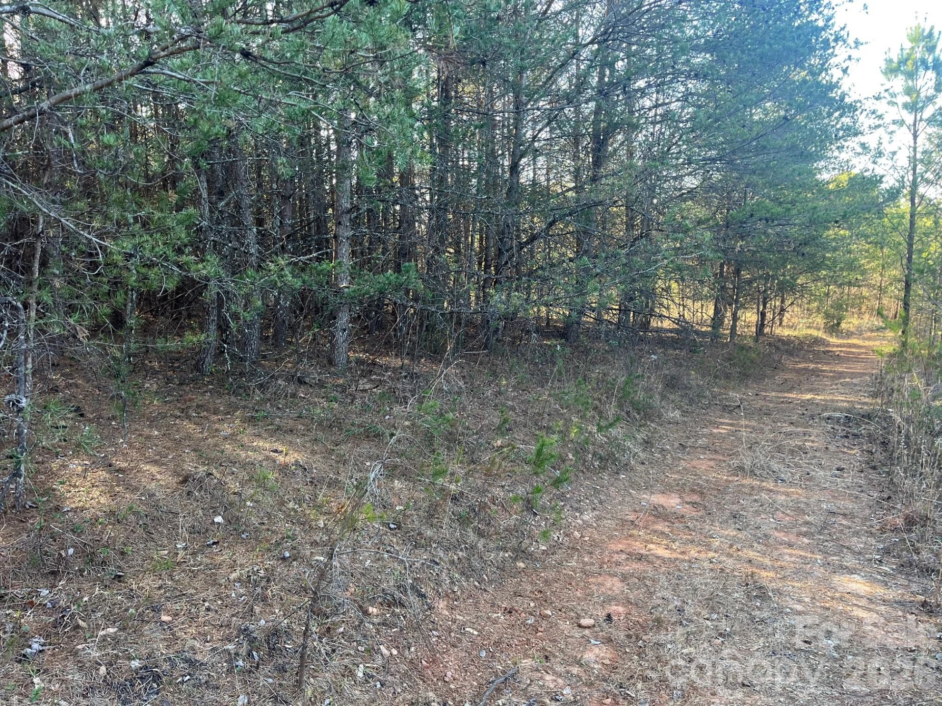 TBD Southern Way - Photo 7