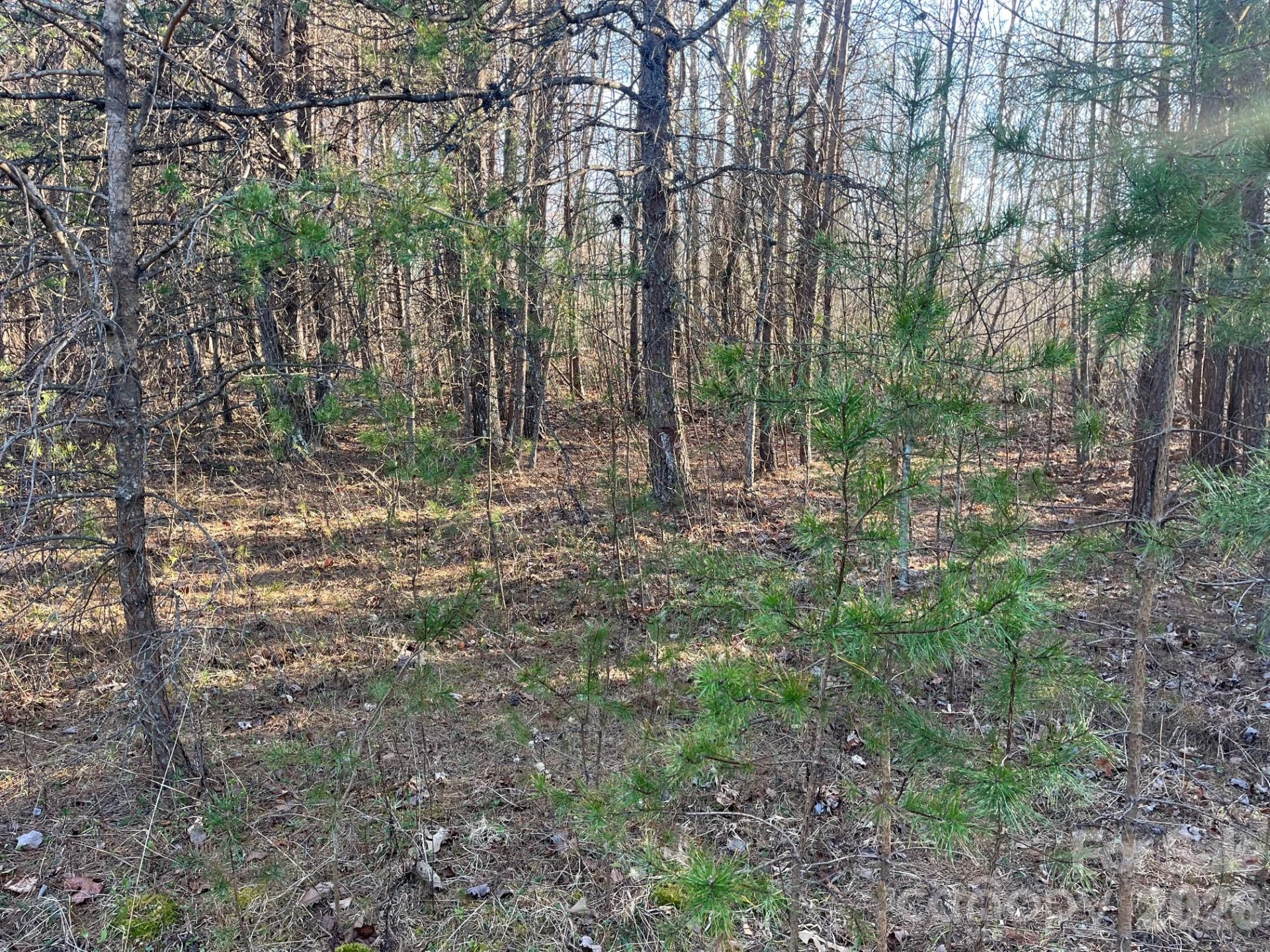 TBD Southern Way - Photo 8