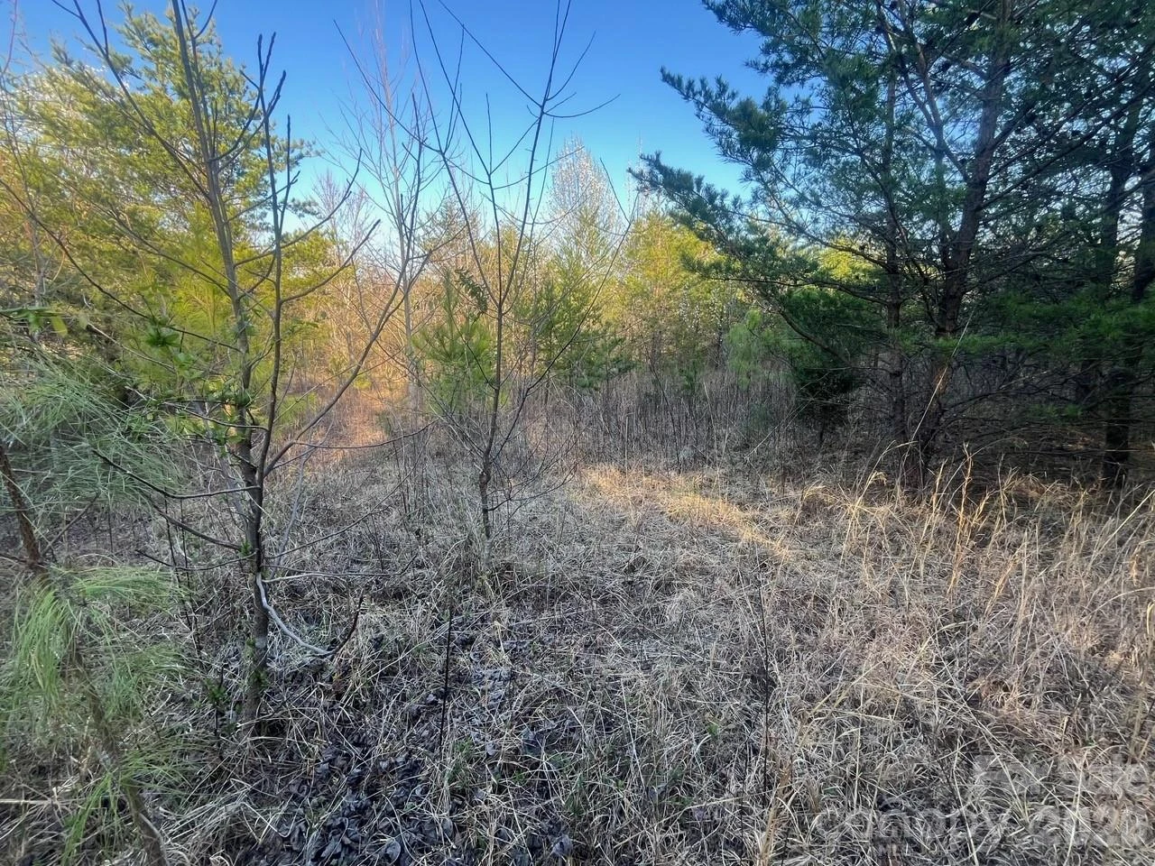 TBD Southern Way - Photo 10
