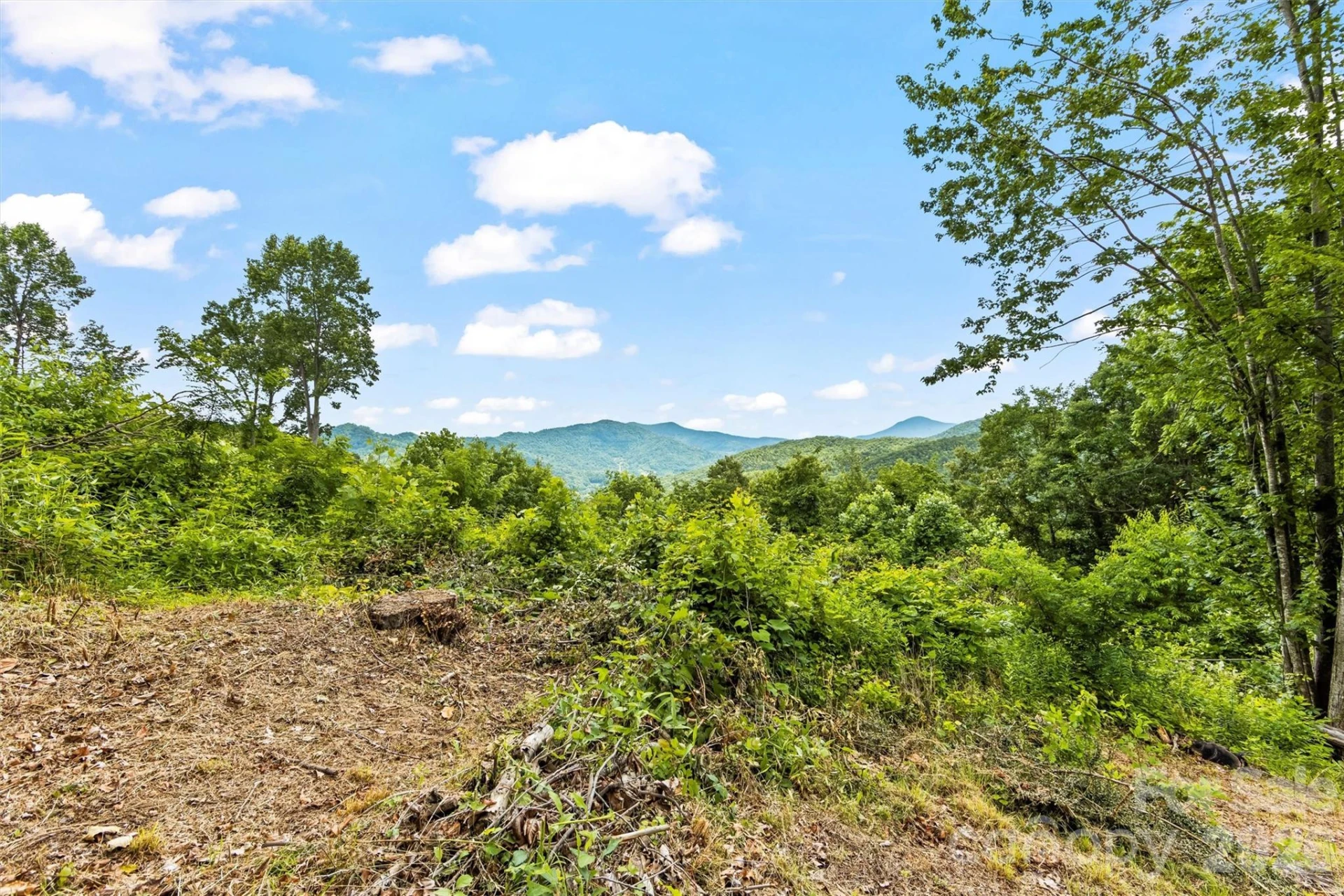 553 Paradise Mountain Road - Photo 27
