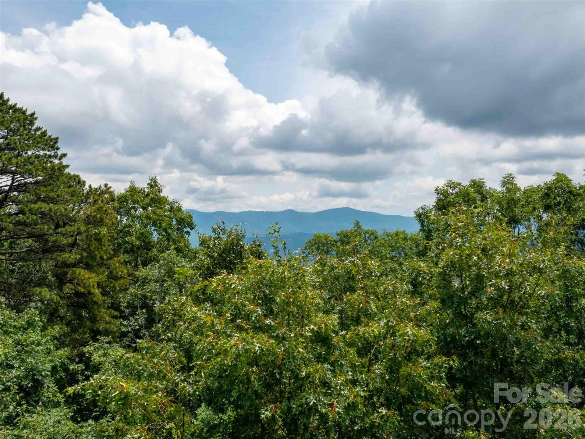 288 Eastman Place - Photo 5