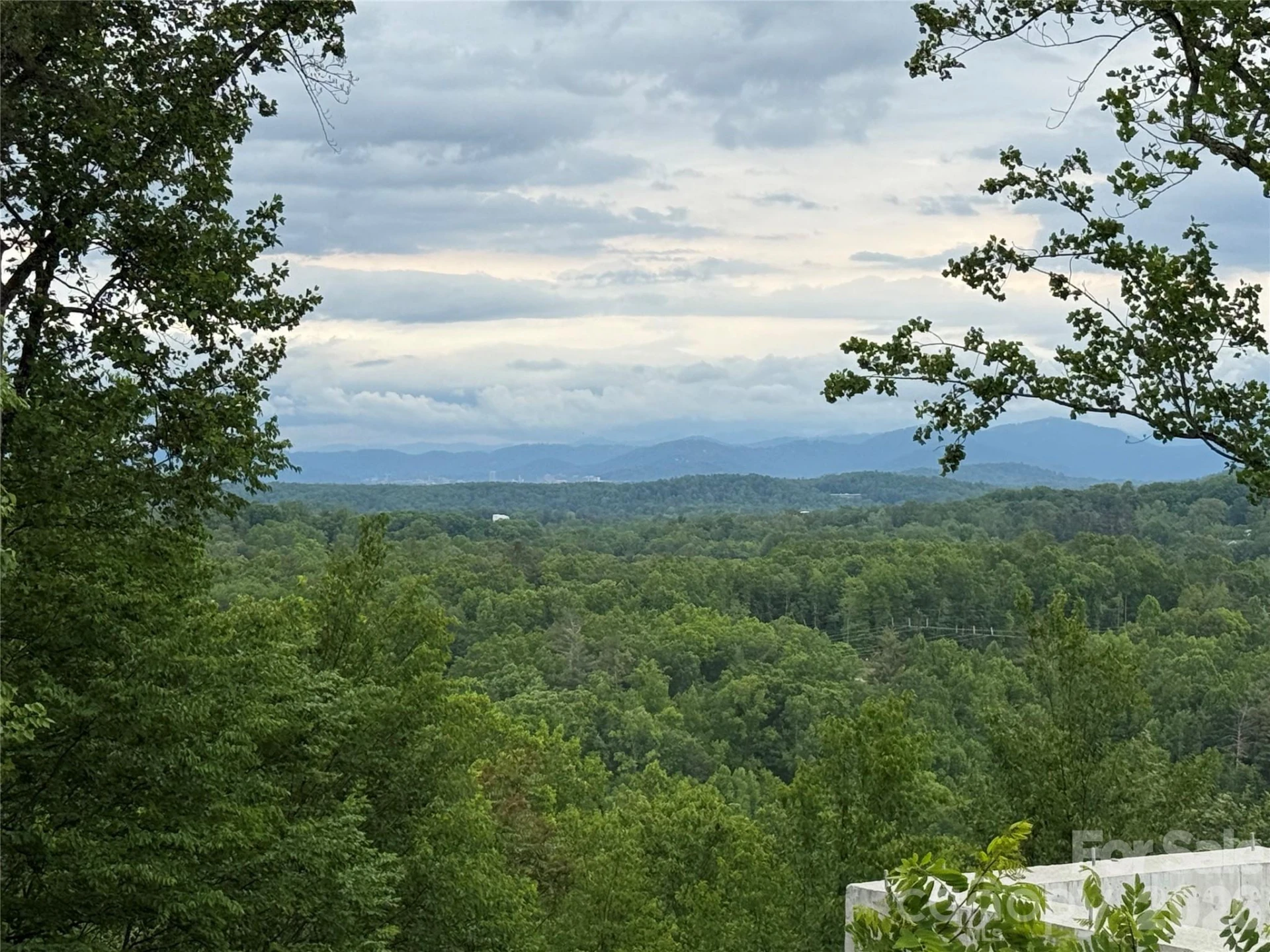 16 Ridge Pine Trail - Photo 3