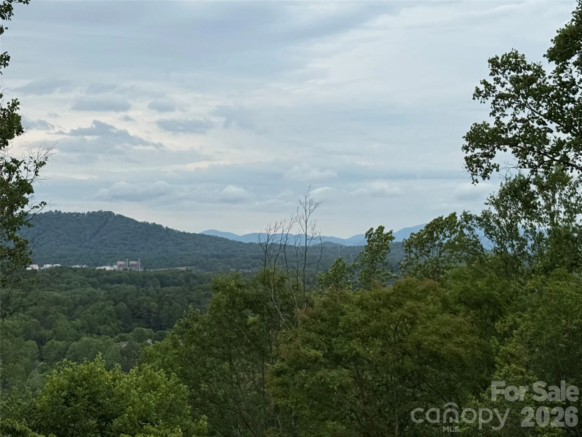 16 Ridge Pine Trail - Photo 6