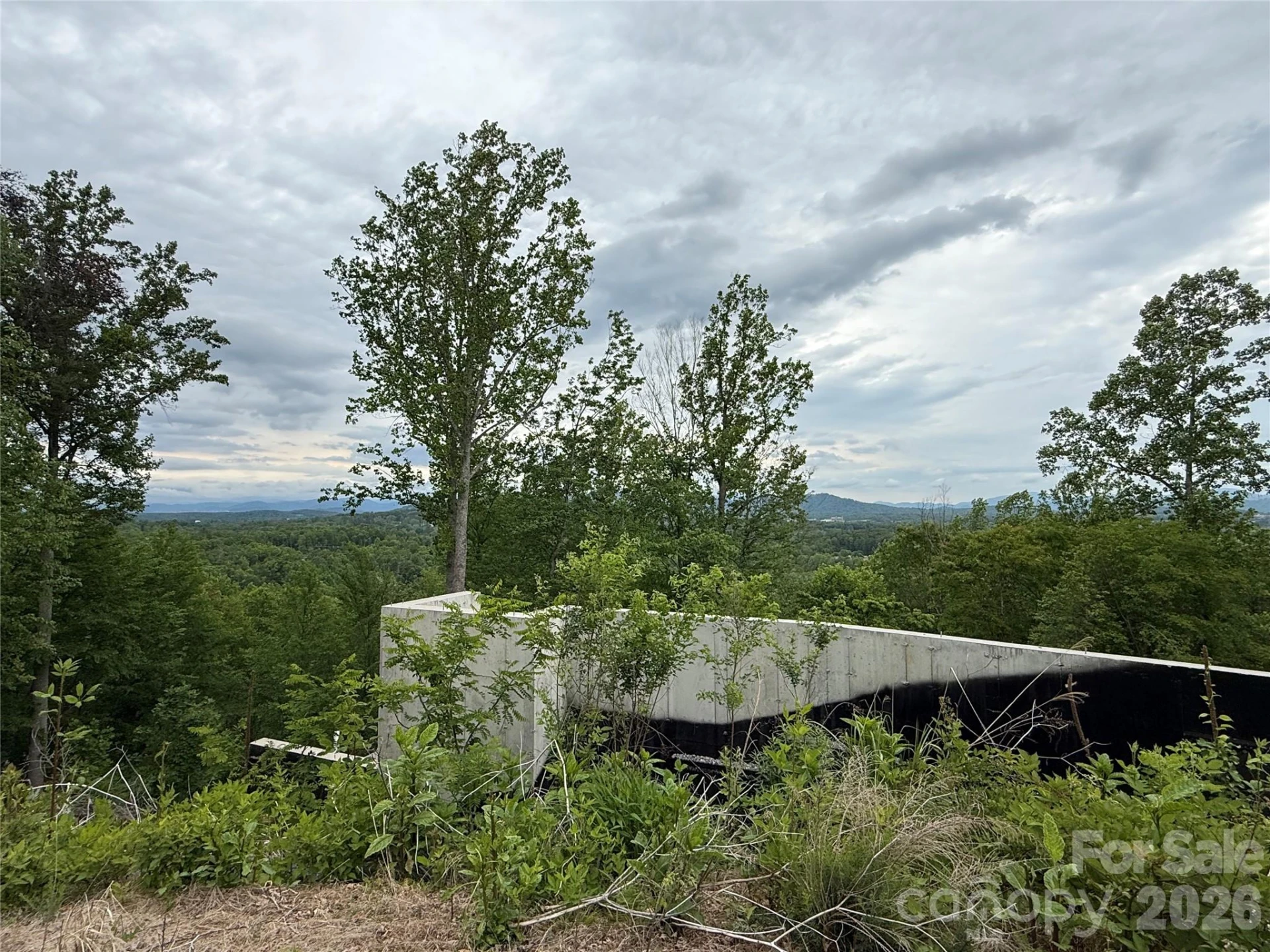 16 Ridge Pine Trail - Photo 8